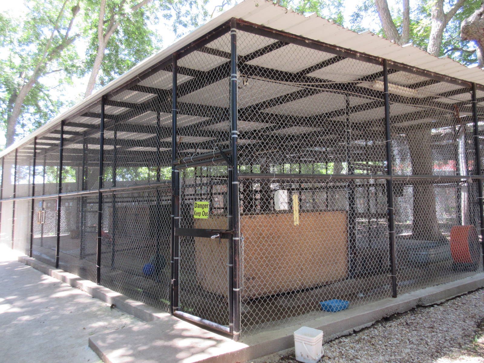 African Lion Exhibit