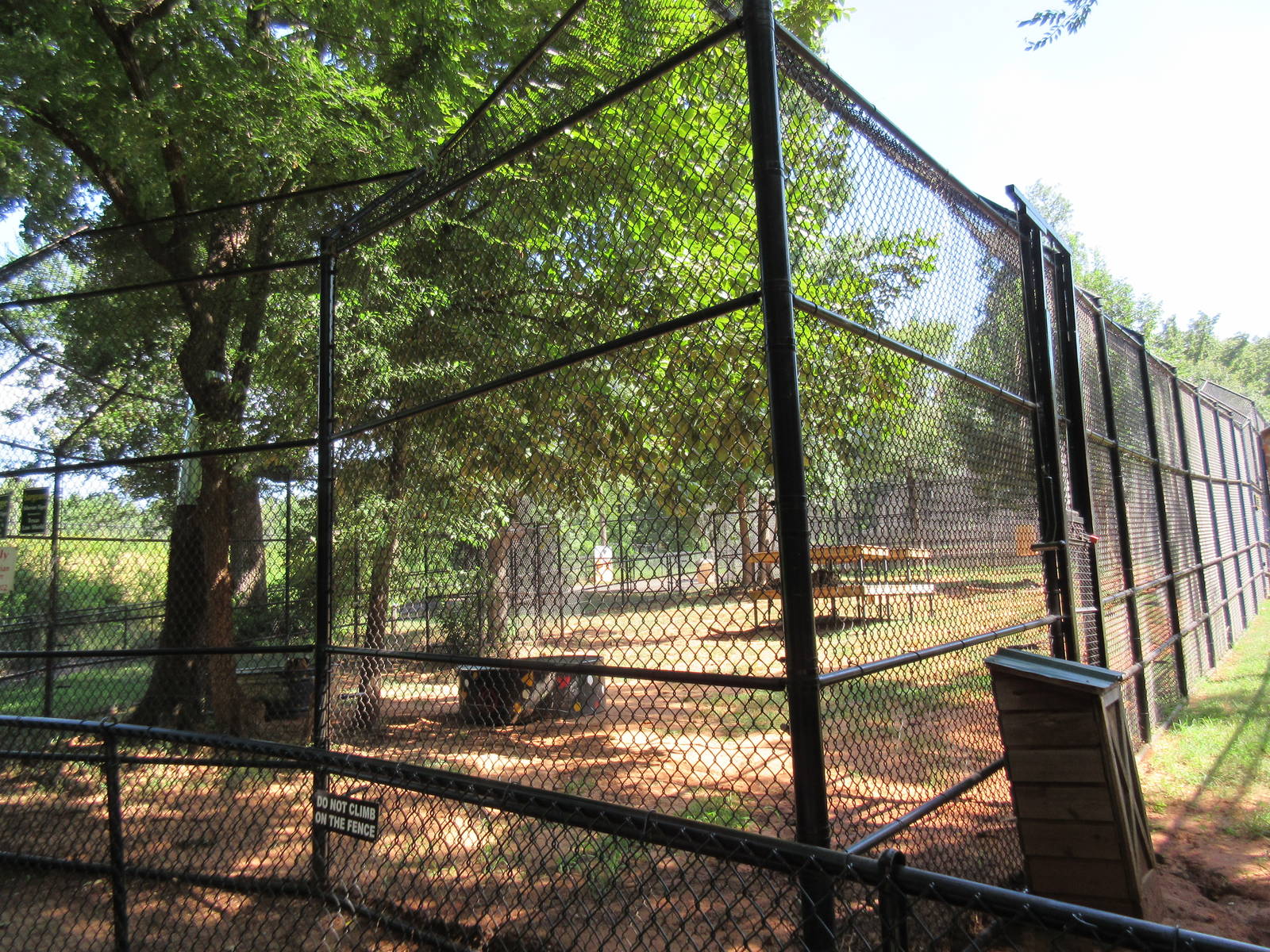 African Lion Exhibit