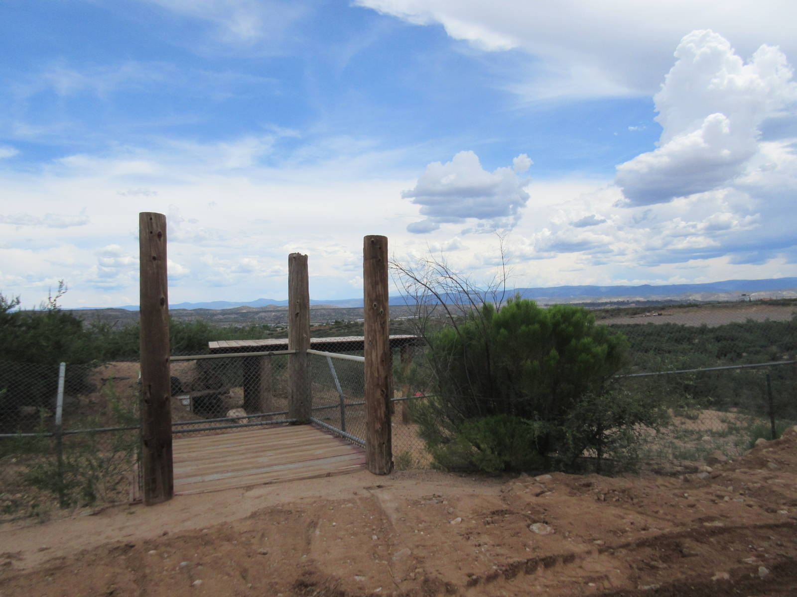 African Lion Exhibit