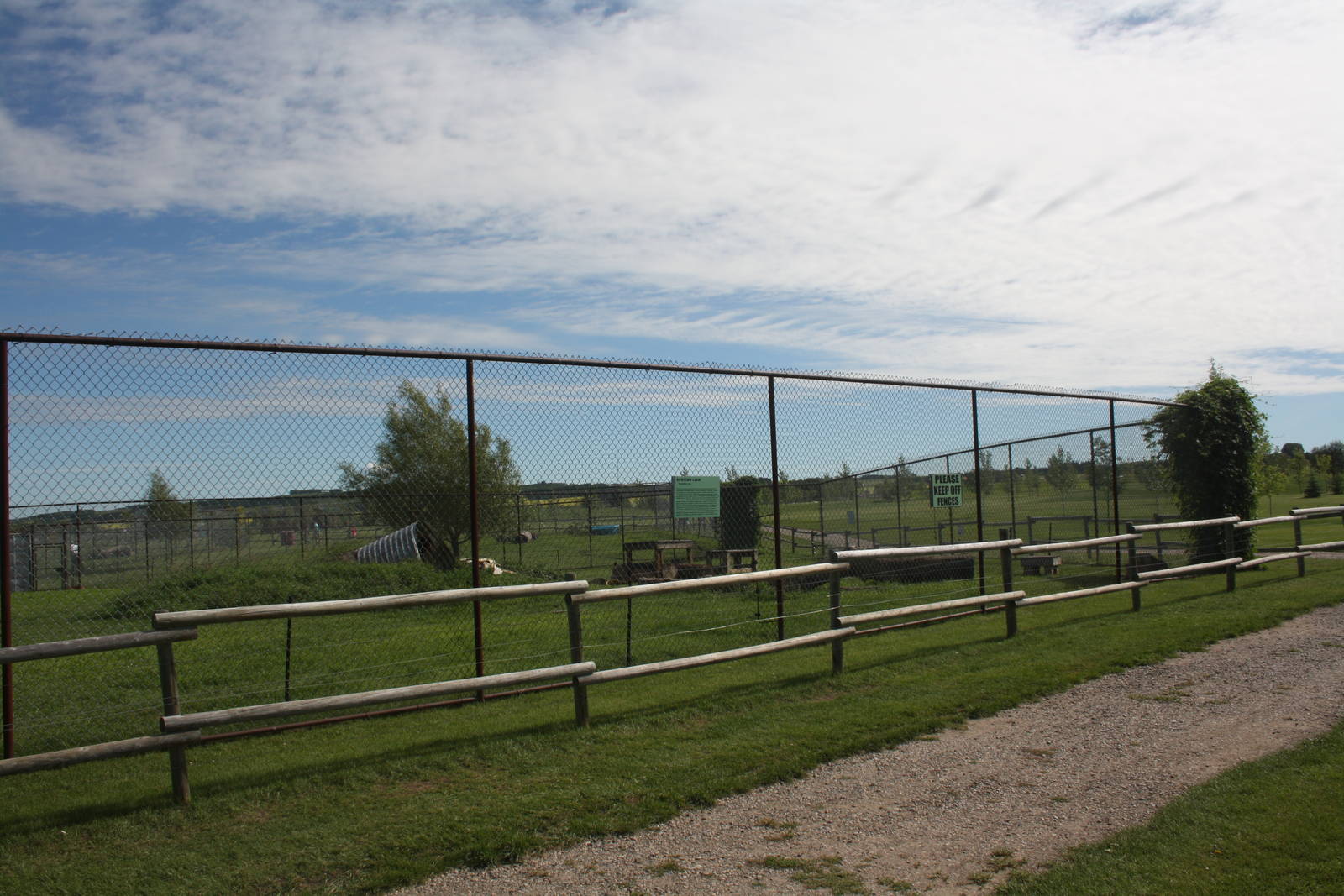 African Lion Exhibit