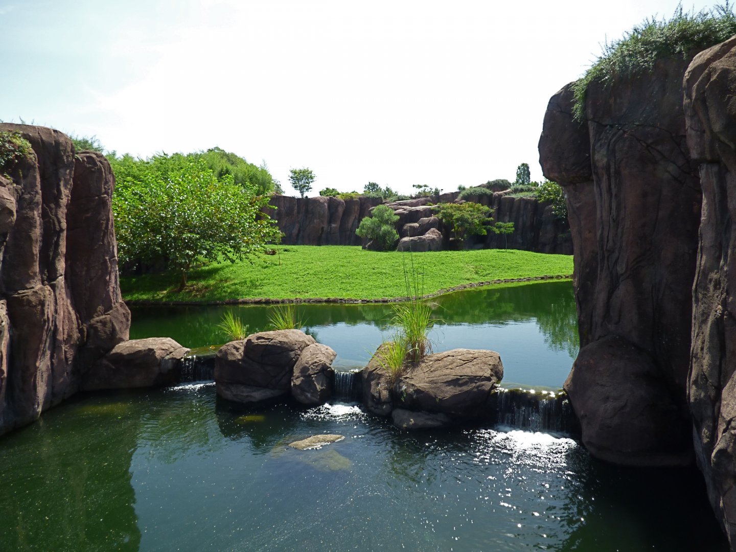 African Lion Exhibit