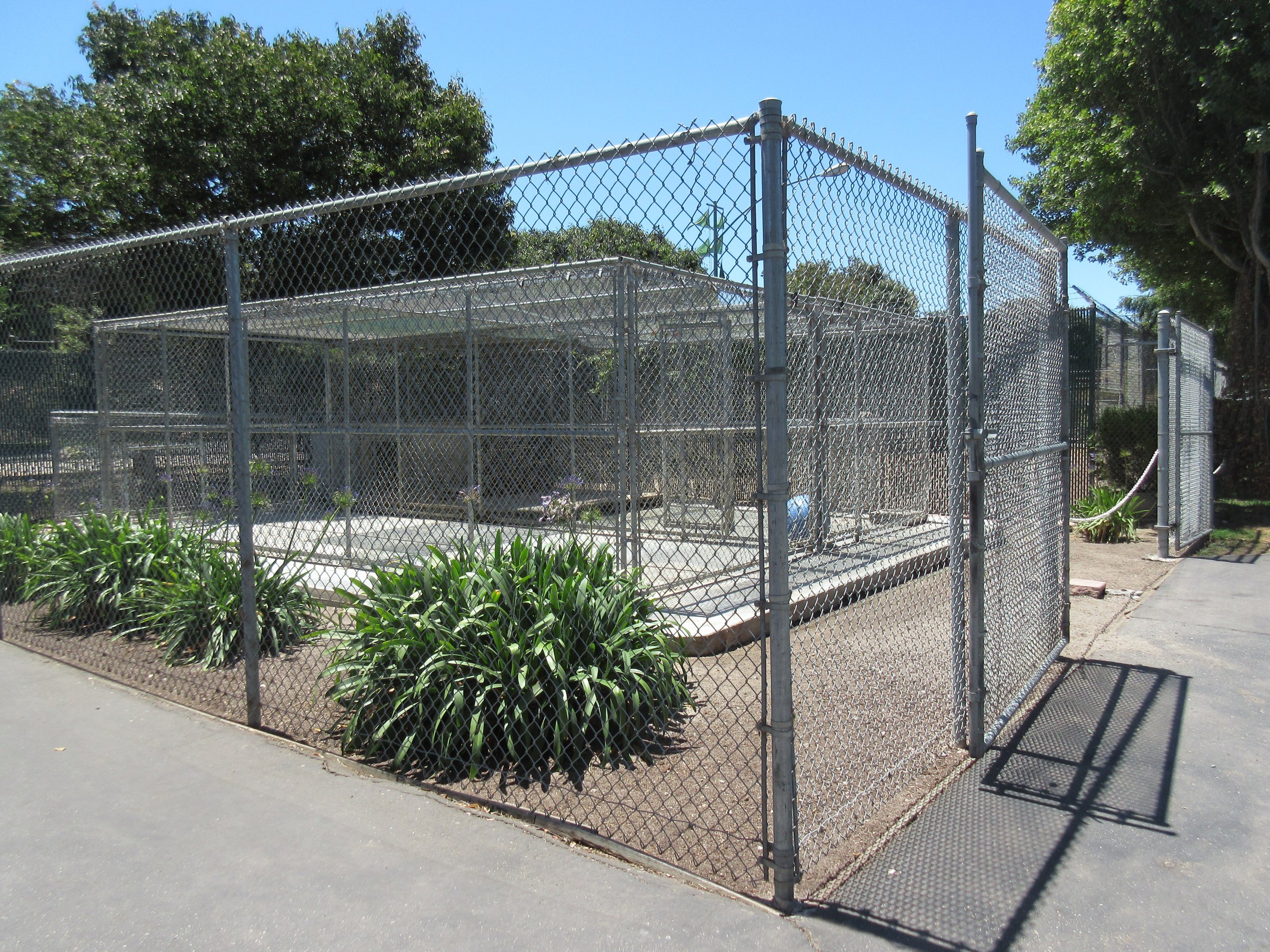 African Lion Exhibit