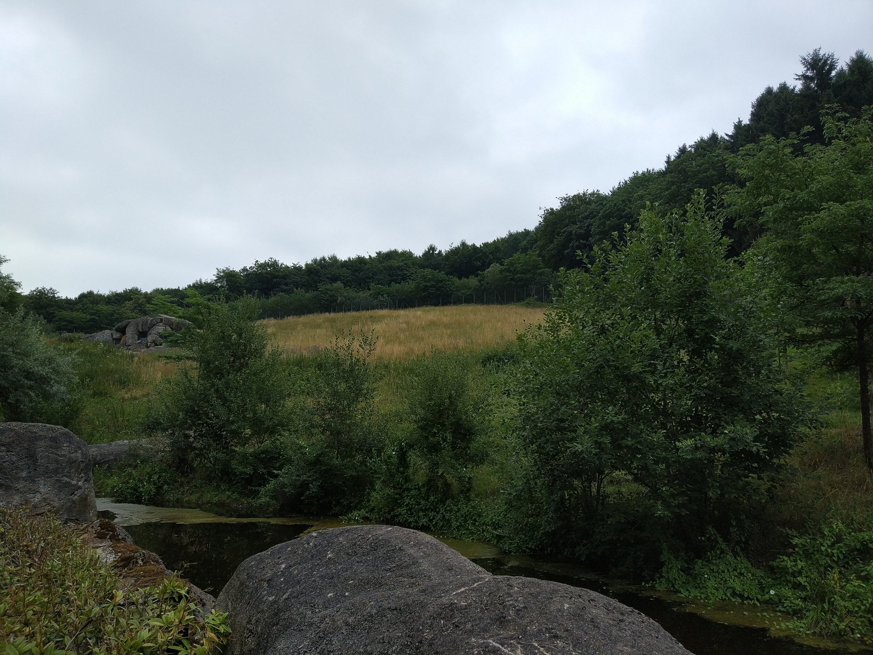 African Lion Exhibit