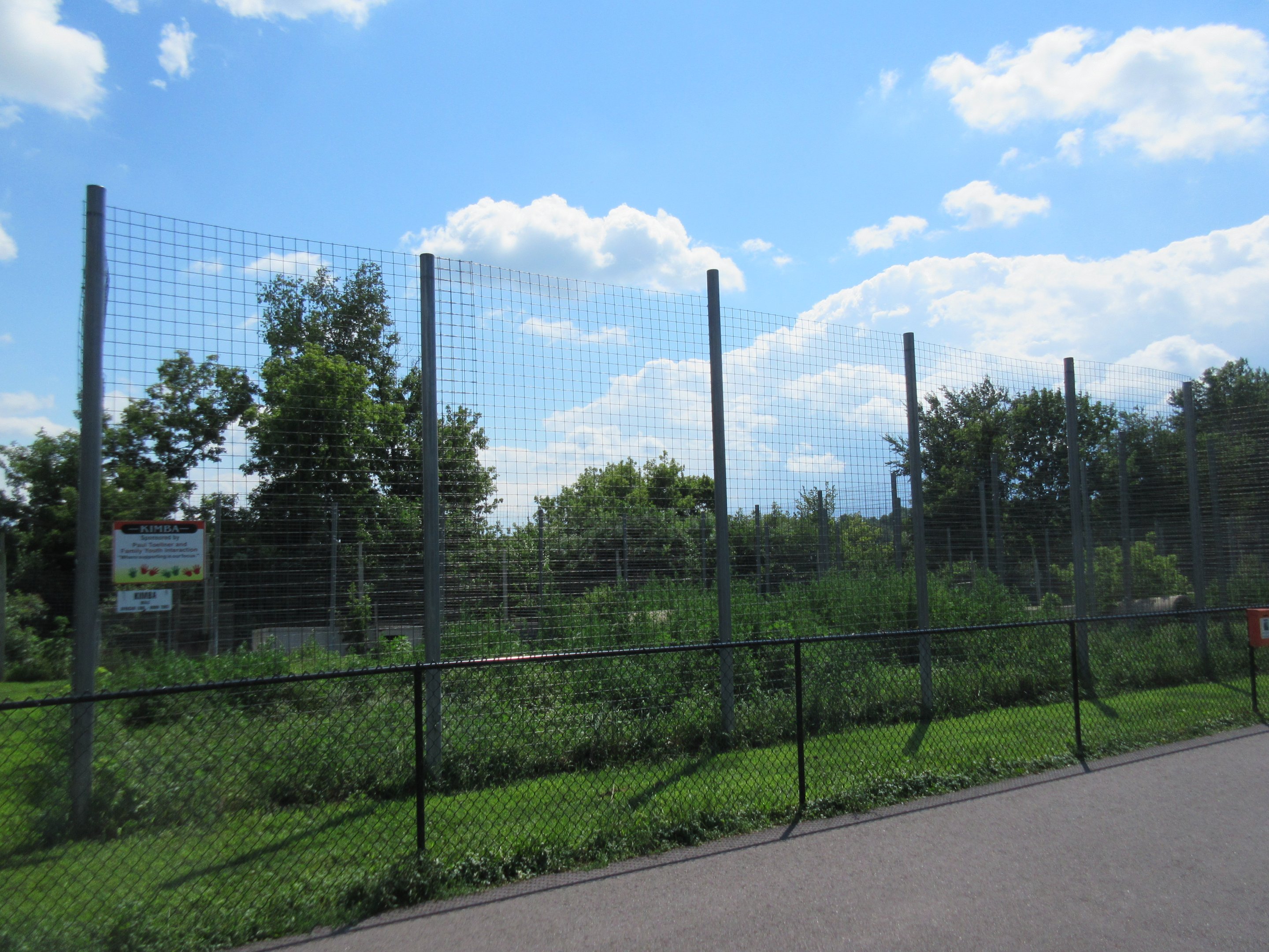 African Lion Exhibit