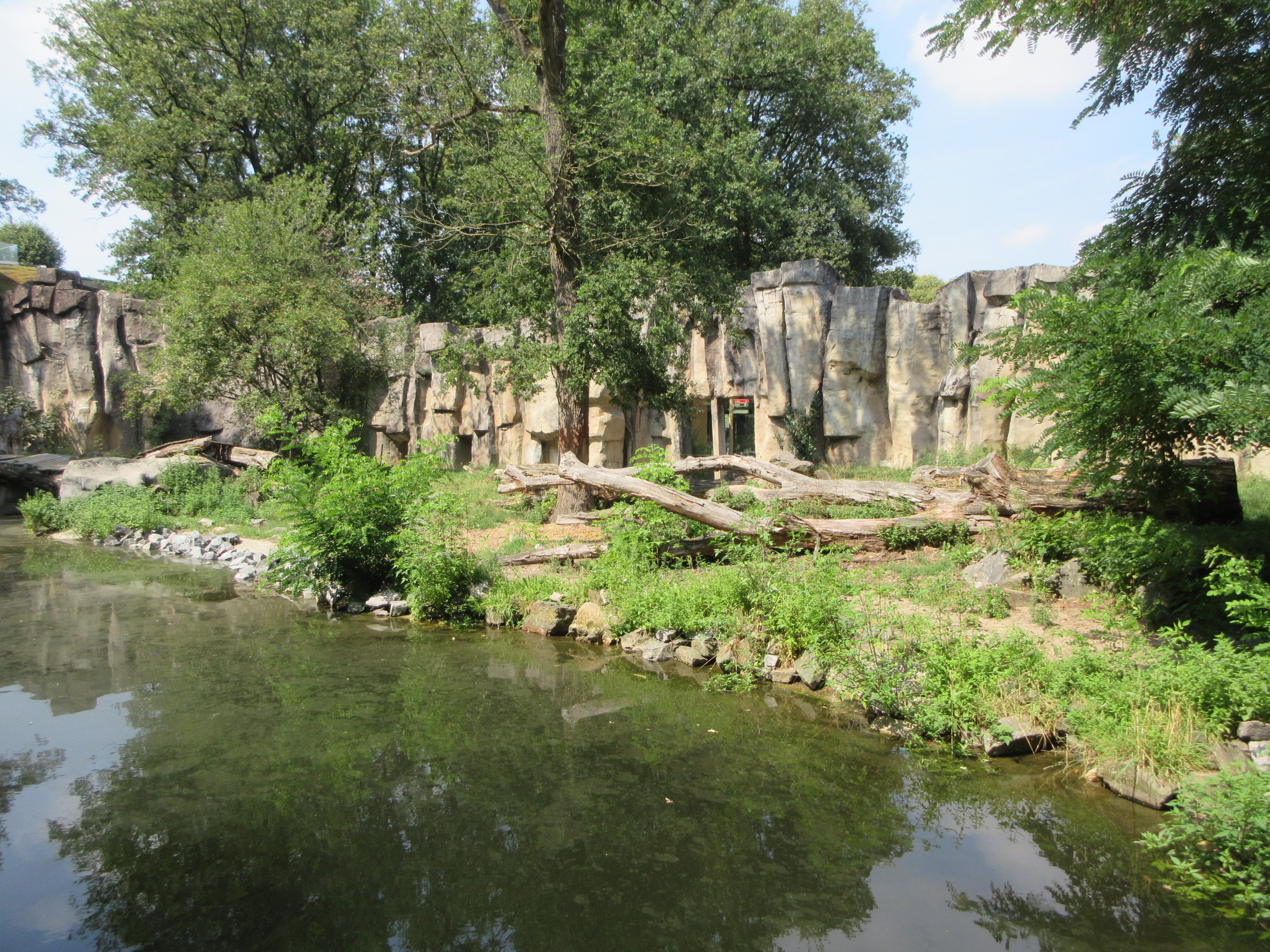 African Lion Exhibit