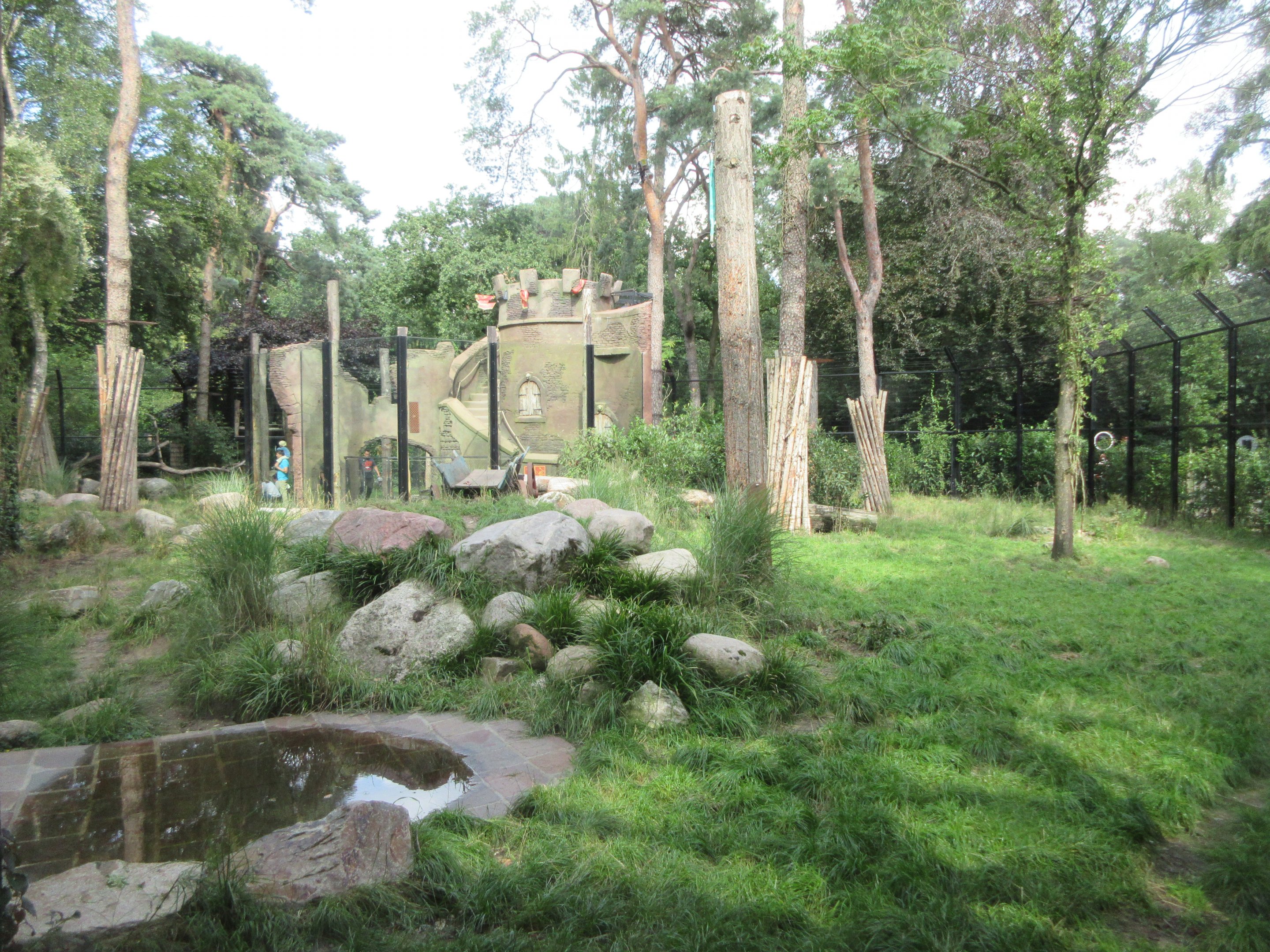 African Lion Exhibit