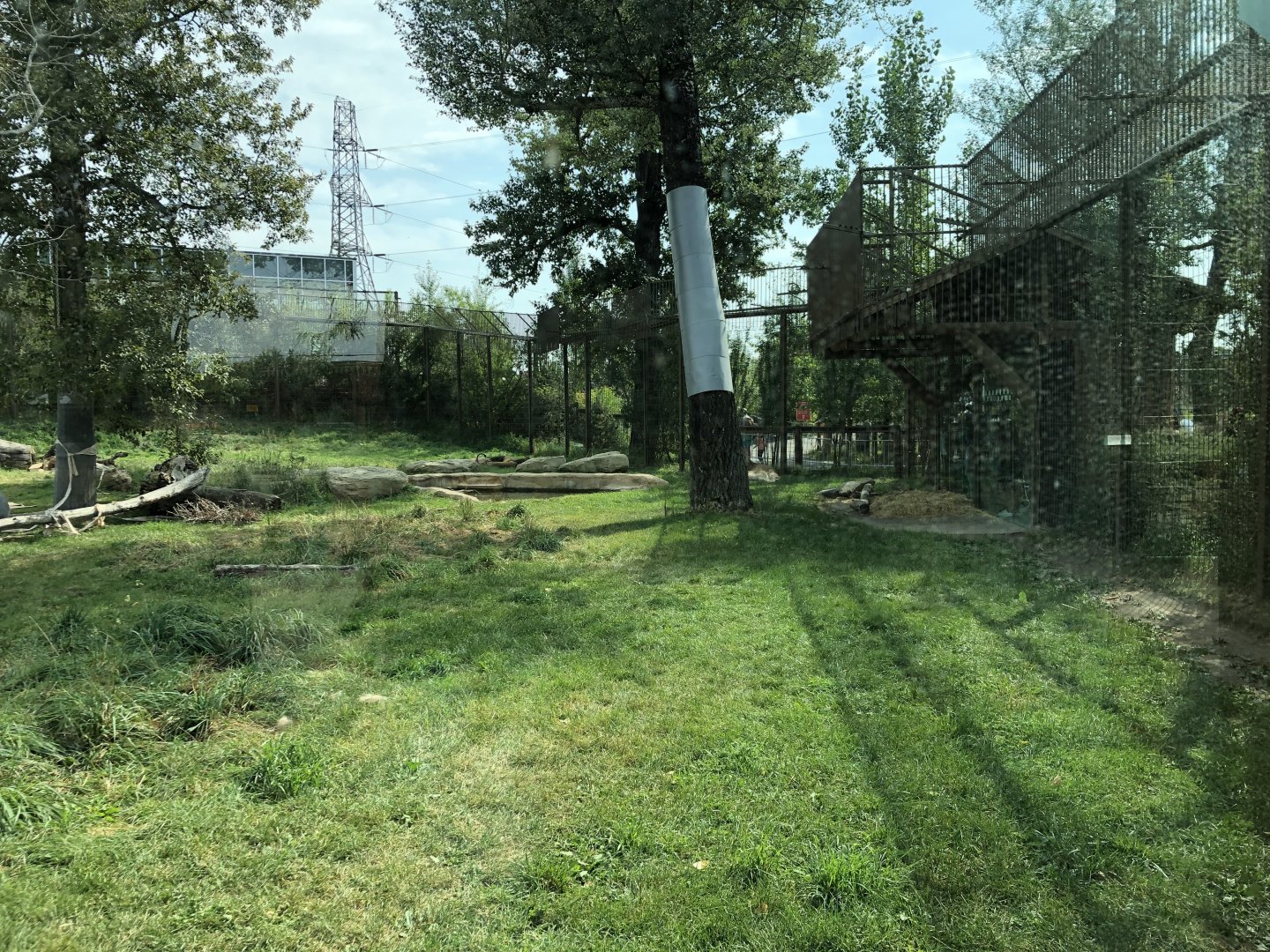 African Lion Exhibit