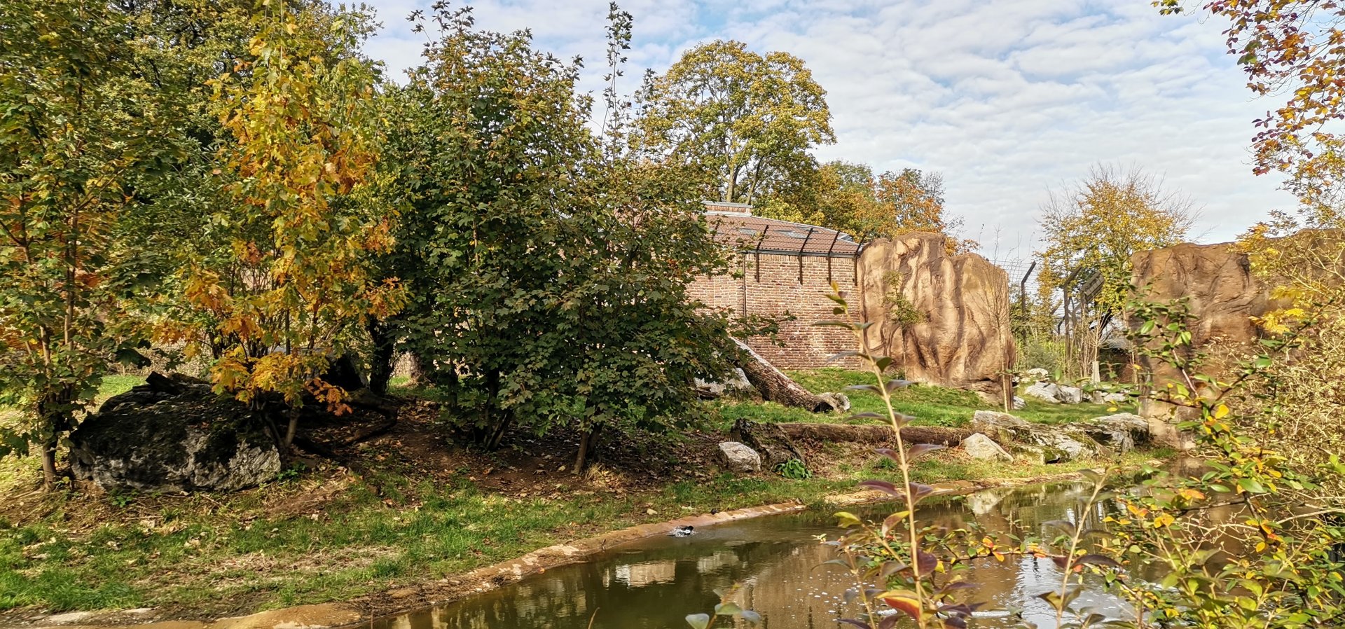 African Lion exhibit