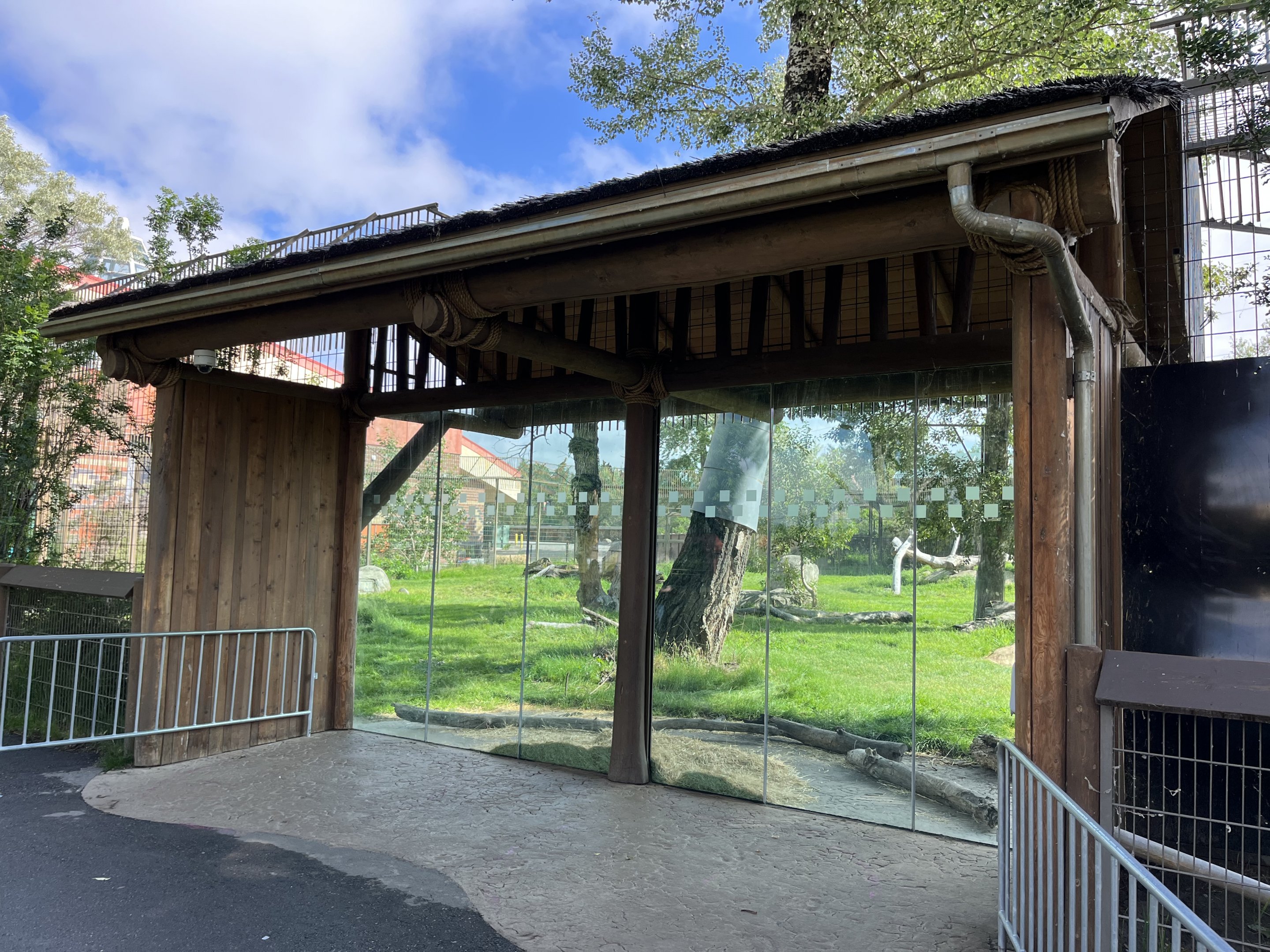 African Lion Exhibit