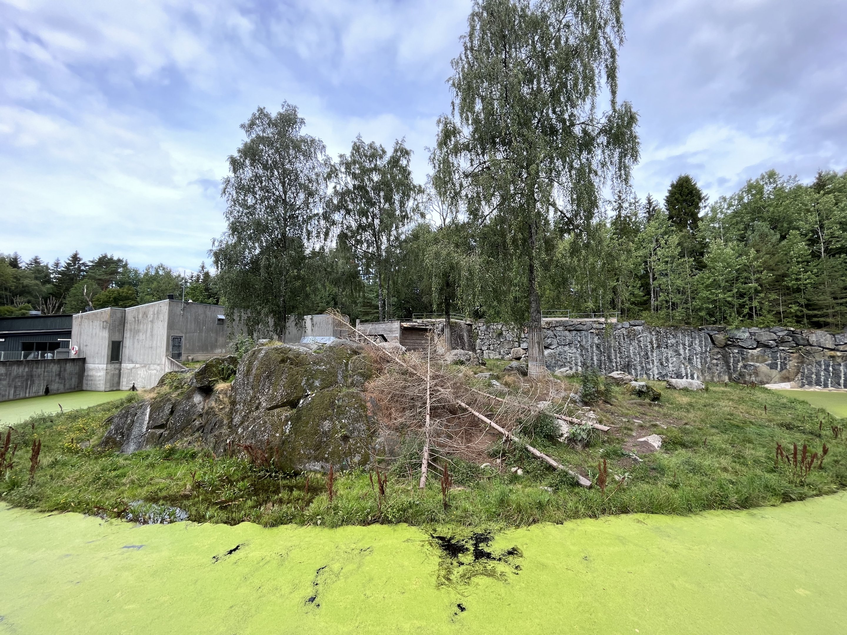 African Lion Exhibit