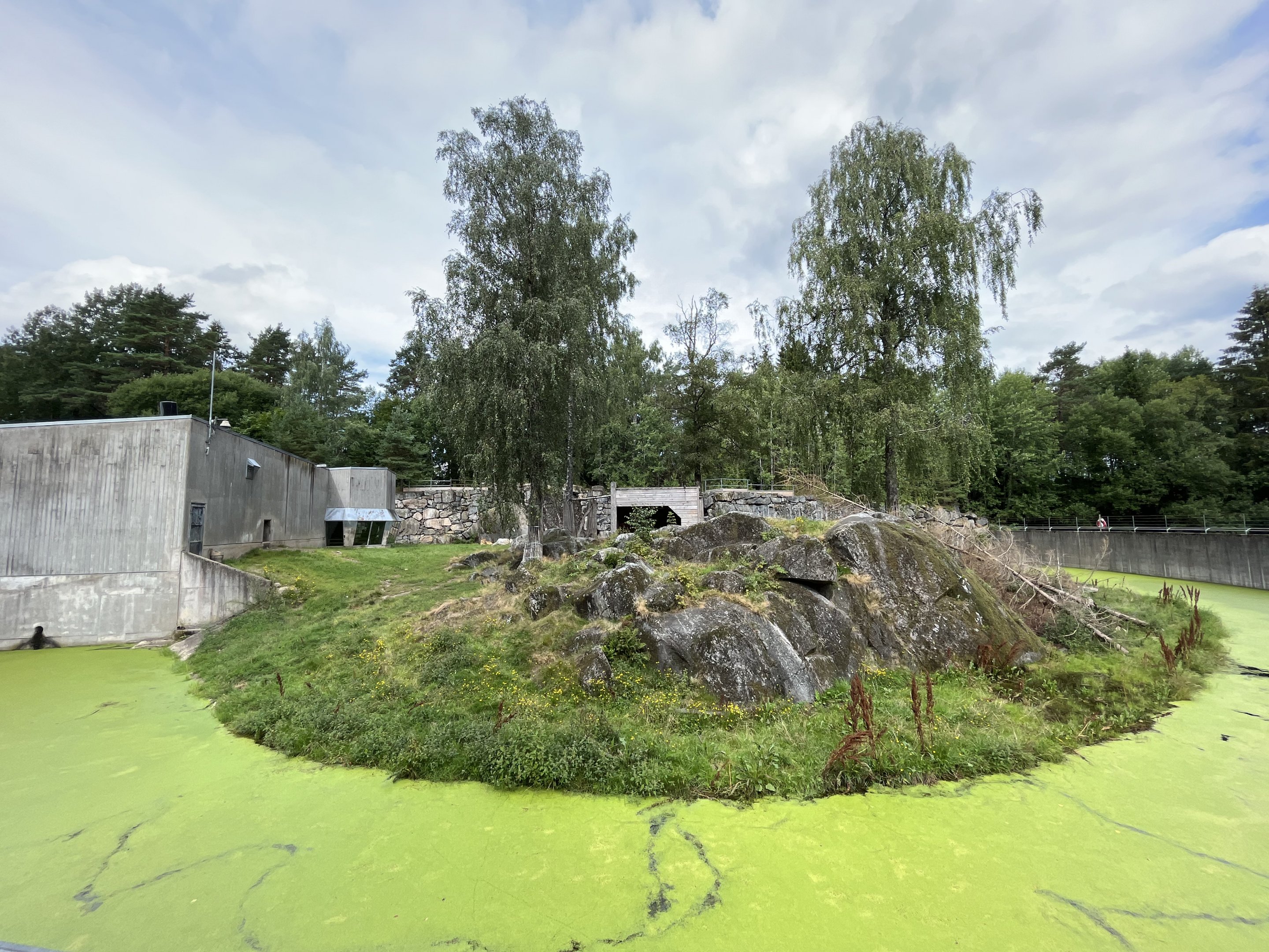 African Lion Exhibit