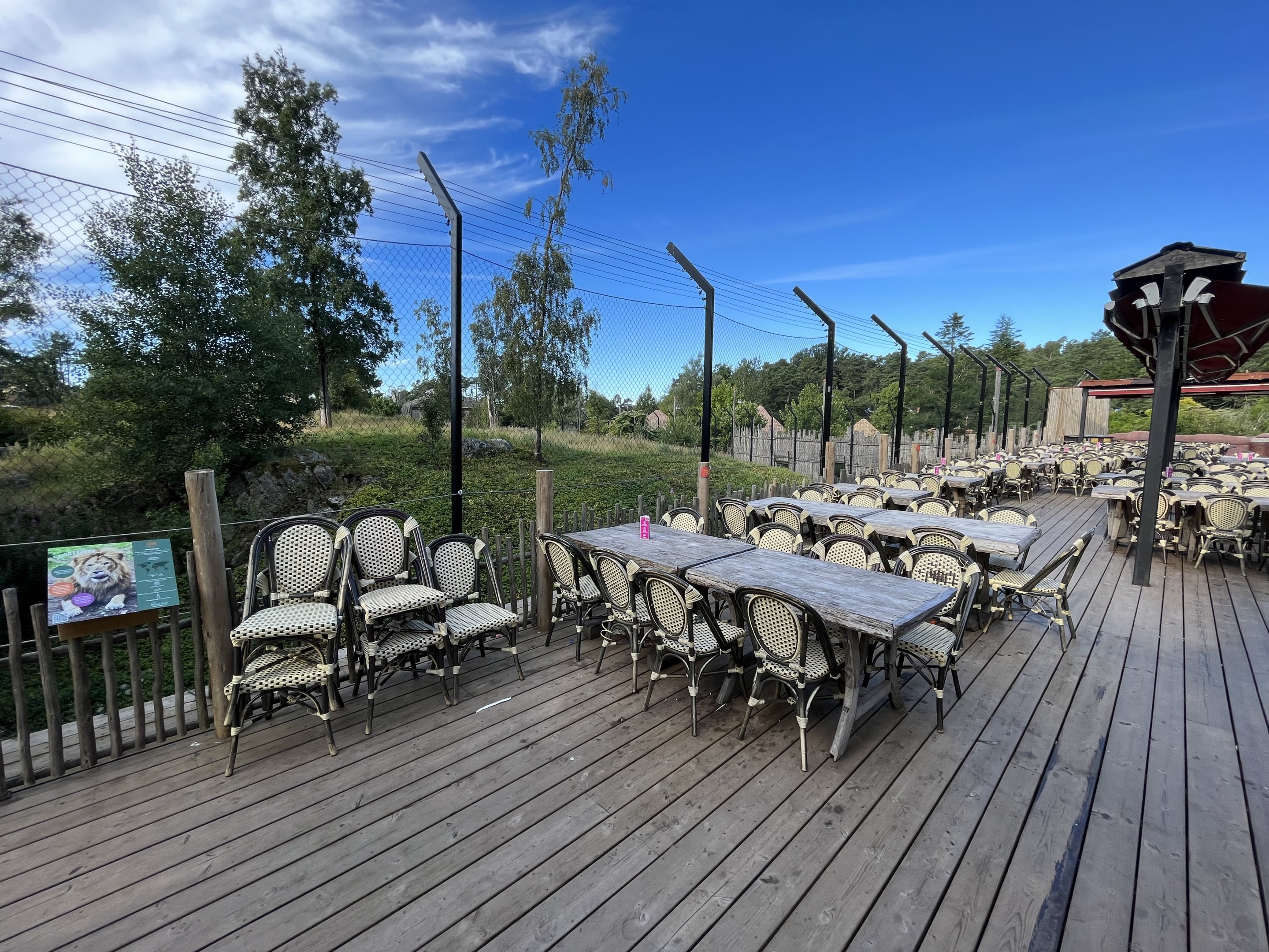 African Lion Exhibit