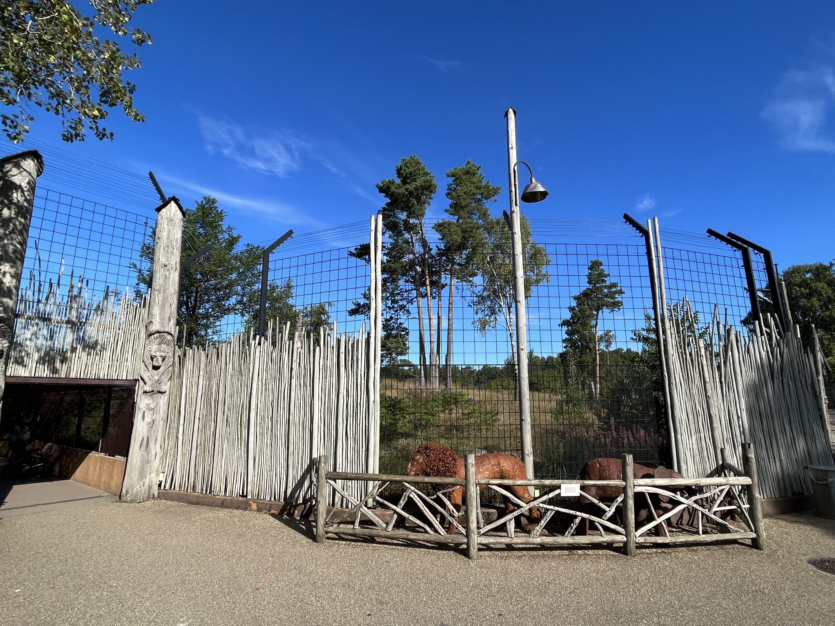 African Lion Exhibit