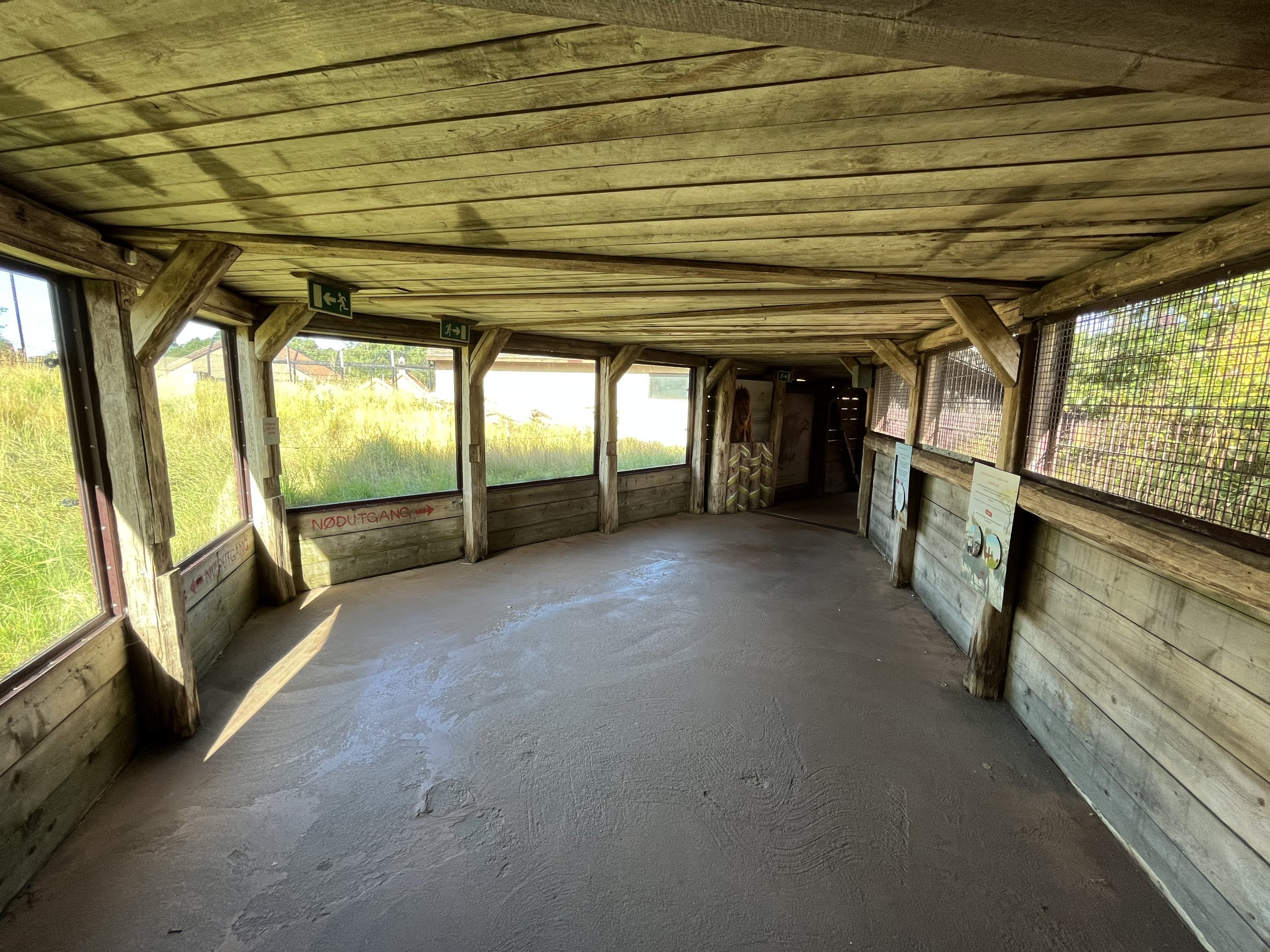 African Lion Exhibit