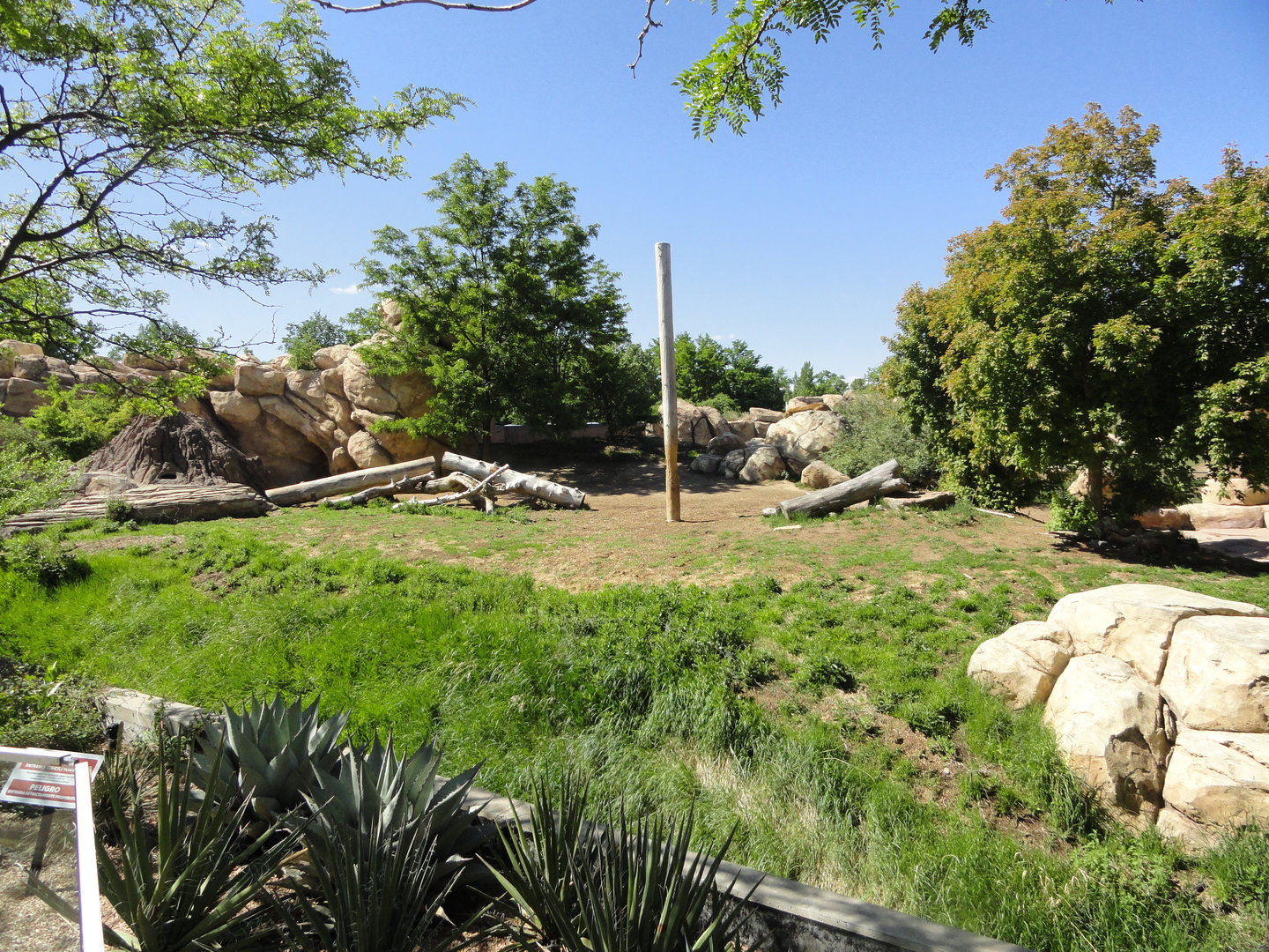 African Lion Exhibit