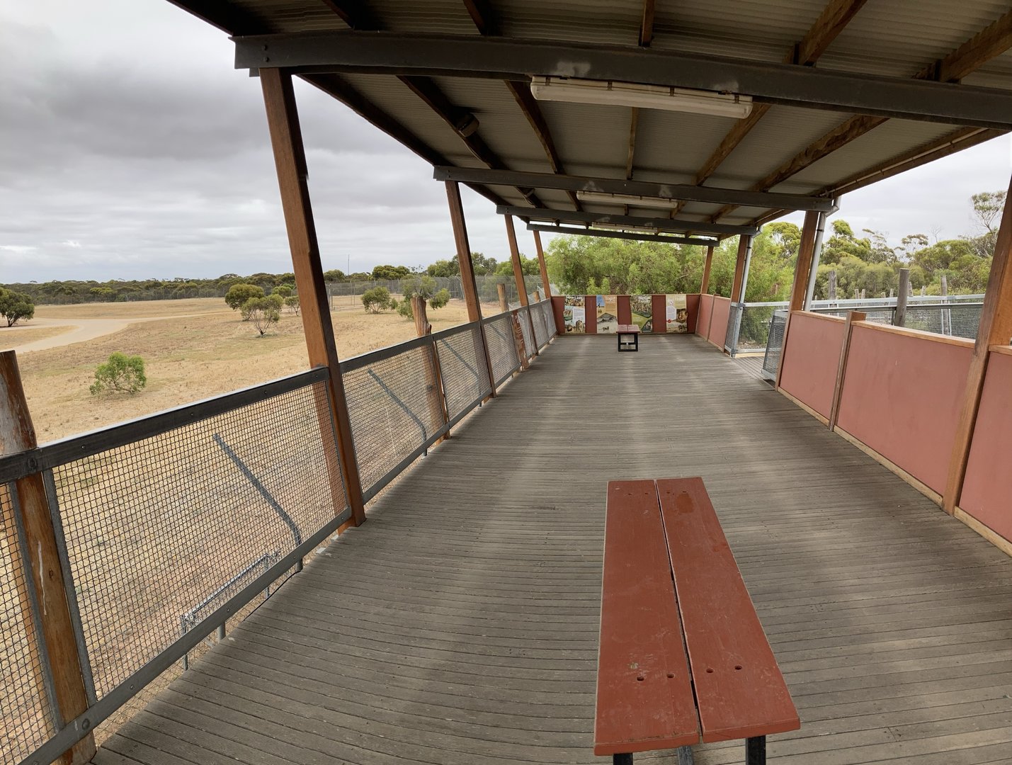 African Lion Exhibit
