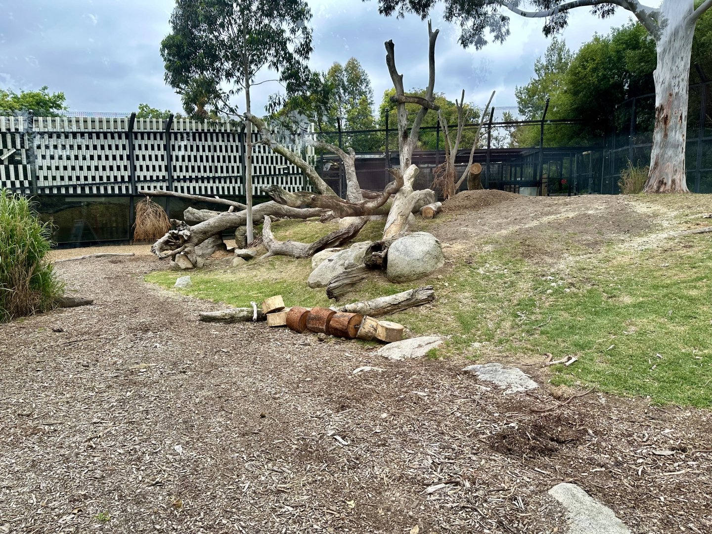 African Lion Exhibit
