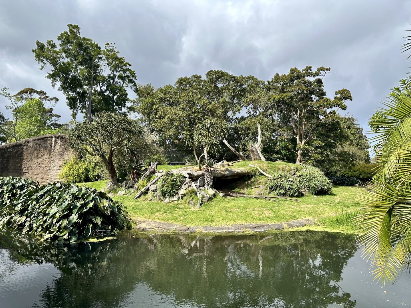 African Lion Exhibit