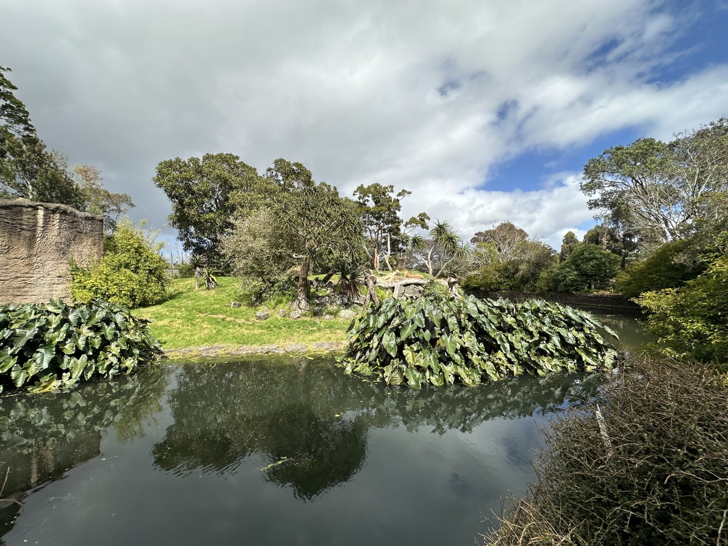 African Lion Exhibit