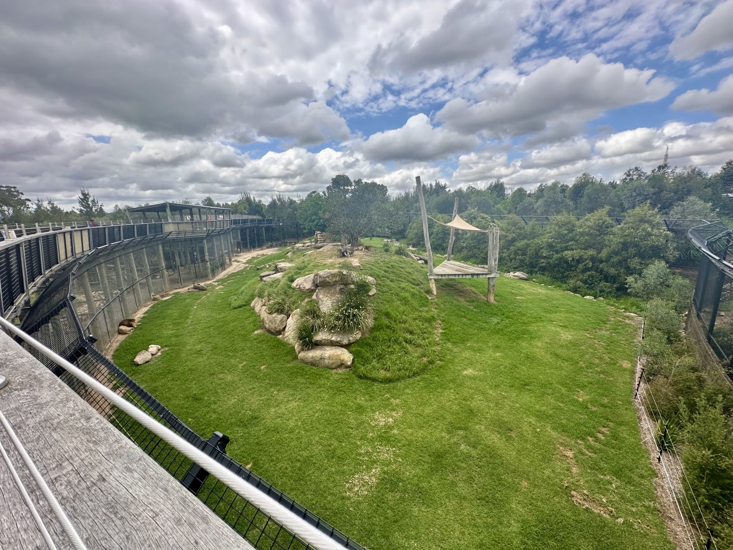 African Lion Exhibit