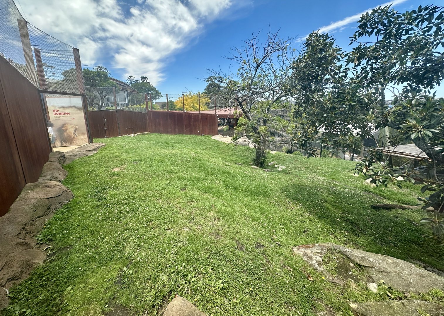 African Lion Exhibit