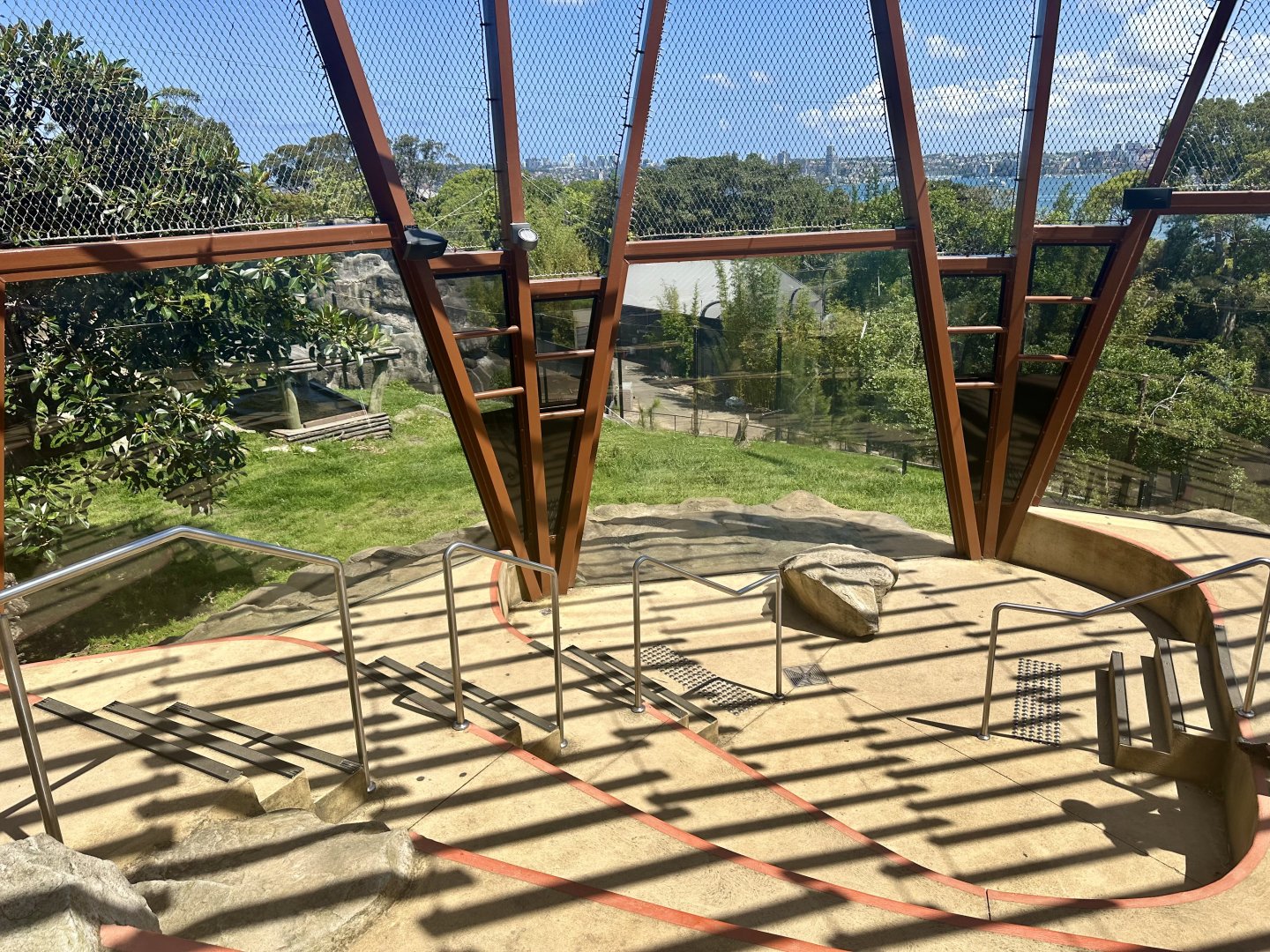 African Lion Exhibit