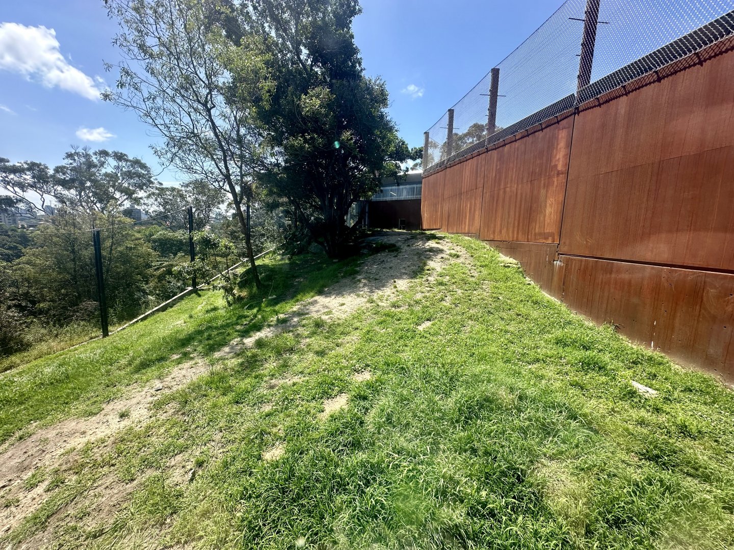 African Lion Exhibit