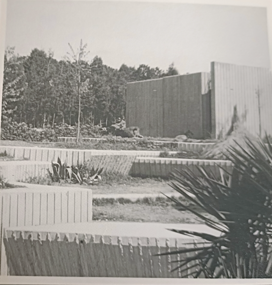 African lion exhibit