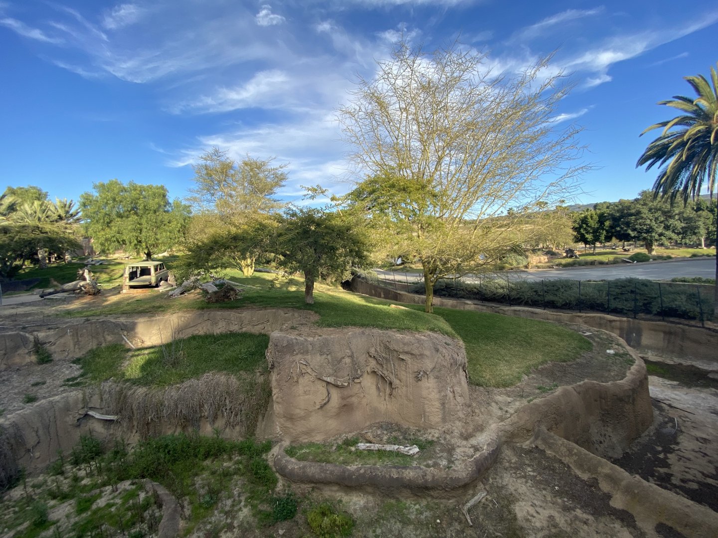 African Lion Habitat - Lion Camp