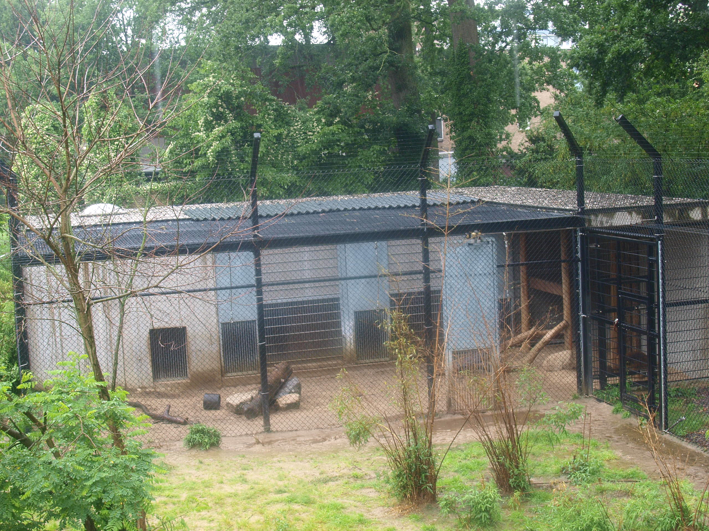 African lion holding areas, 2015-07-19