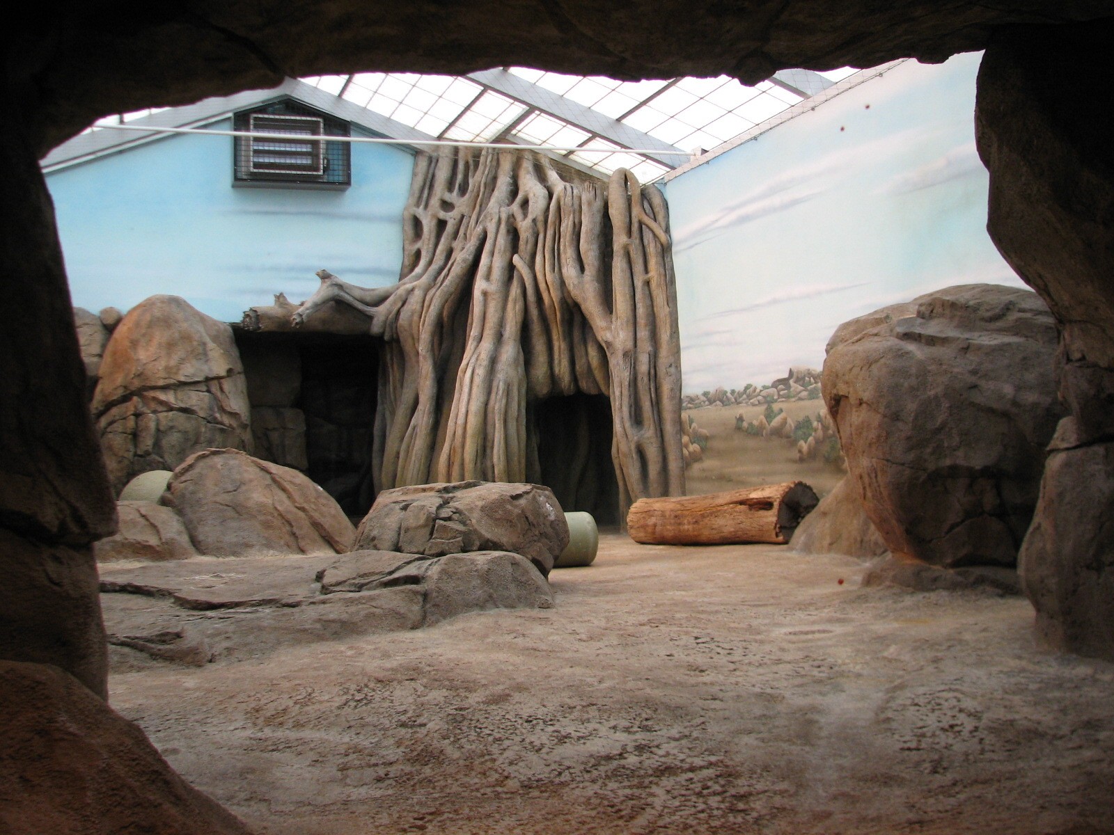 African Lion or Spotted Hyena Exhibit - Bedroom