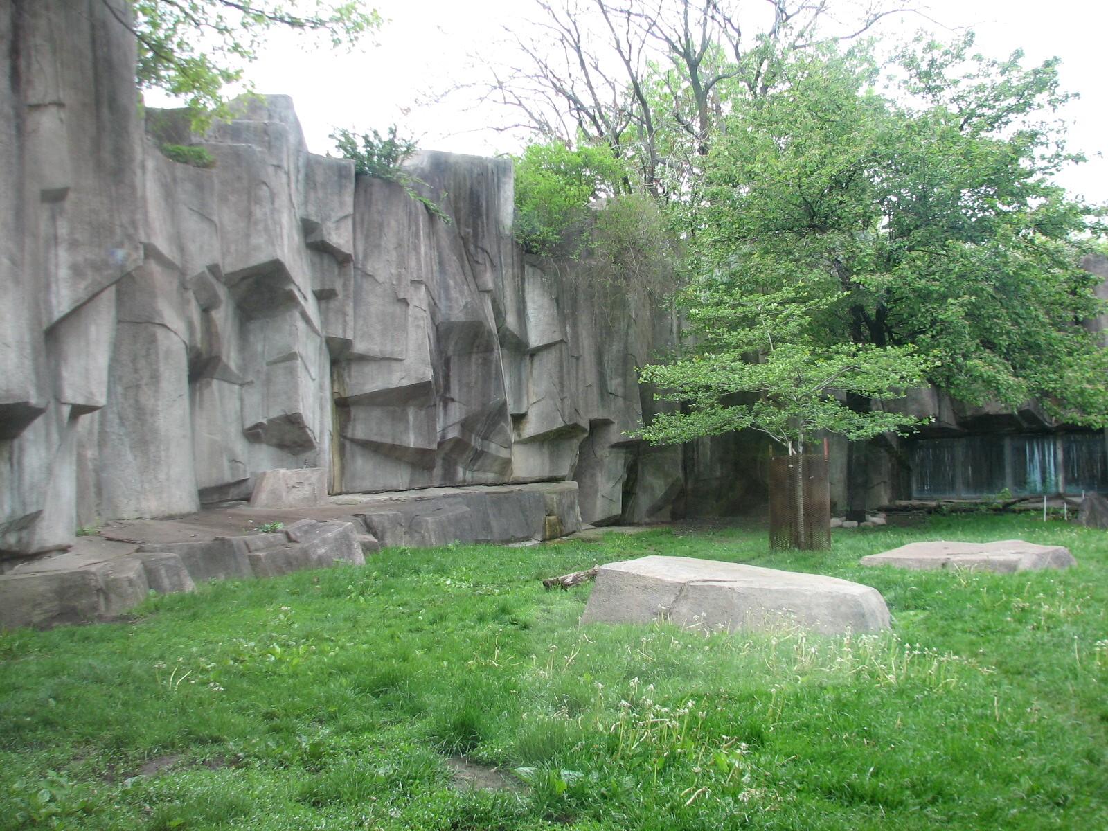African Lion or Spotted Hyena Exhibit