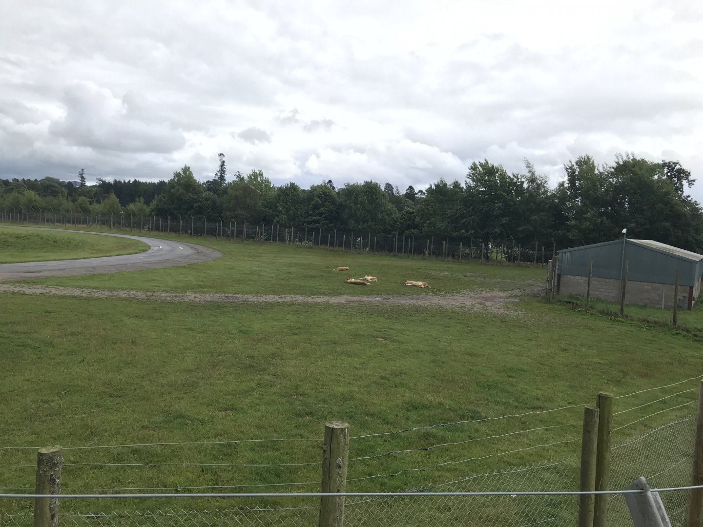 African Lion reserve (2)