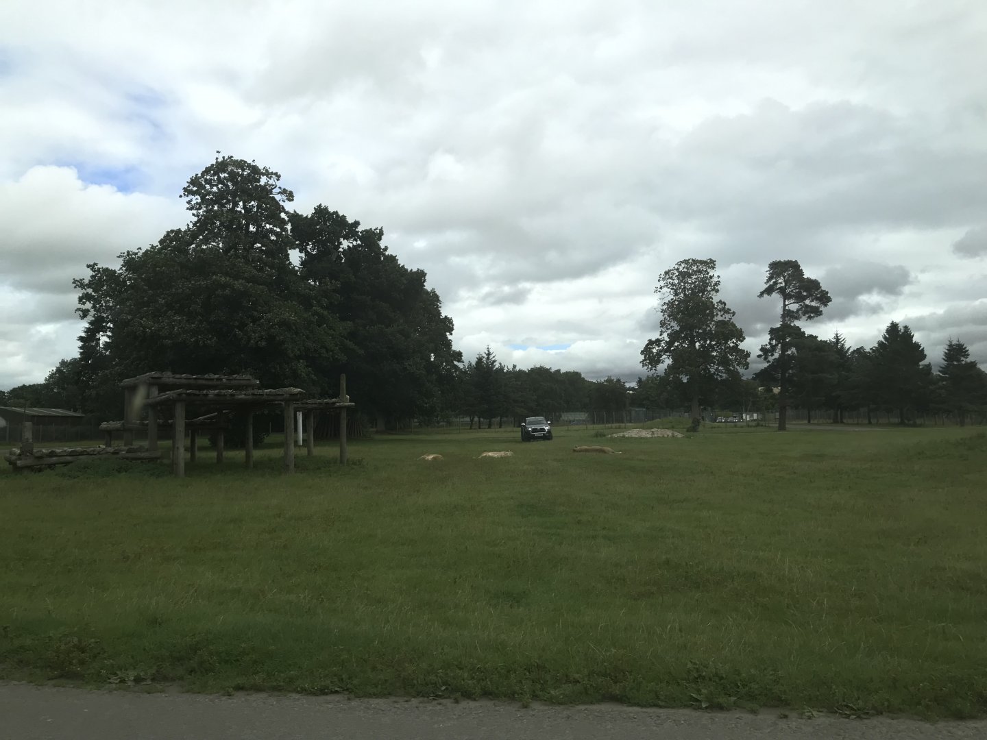 African lion reserve