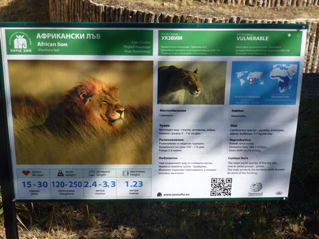 African lion sign 15.9.13