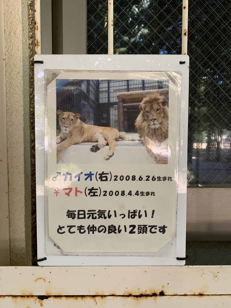 African Lion Sign (Himeji City Zoo)