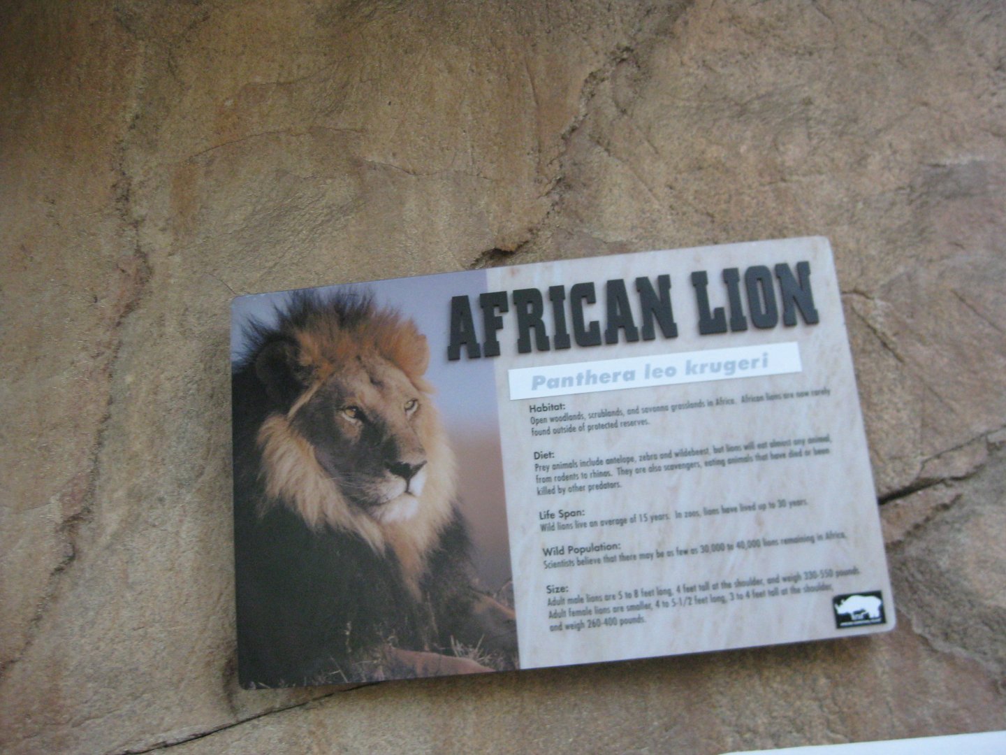 African Lion Signage 2013
