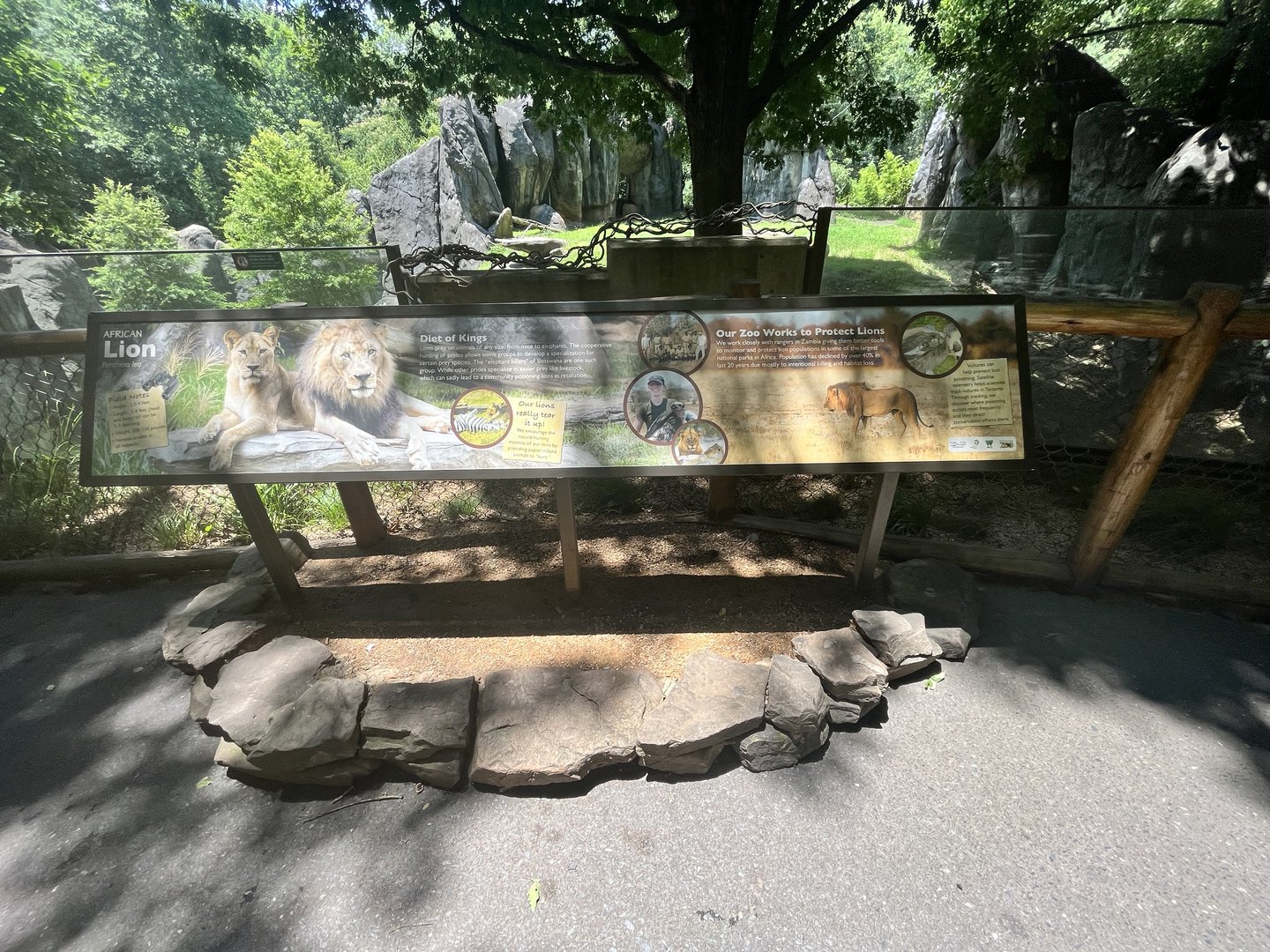 African Lion Signage