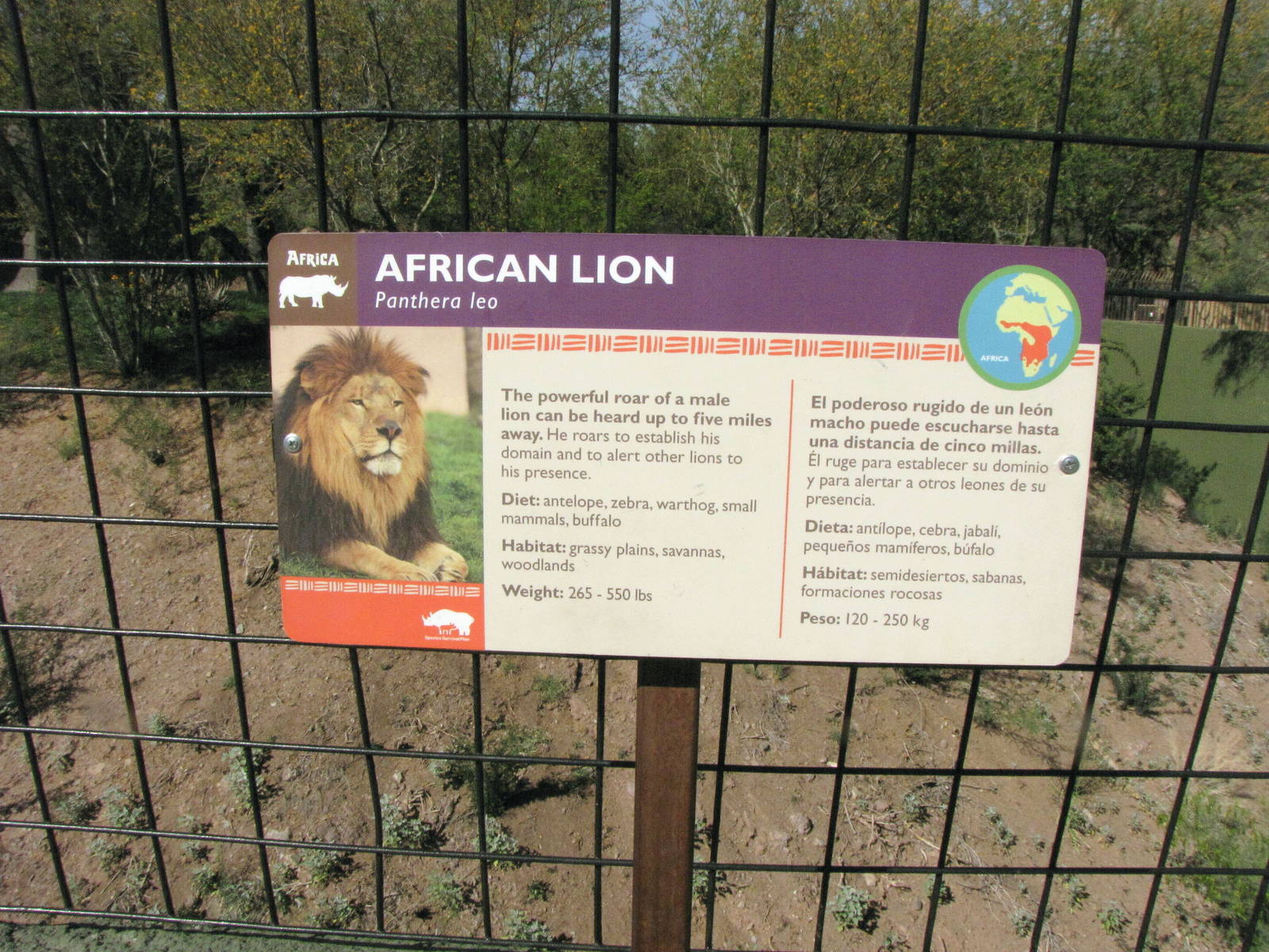 African Lion Signage