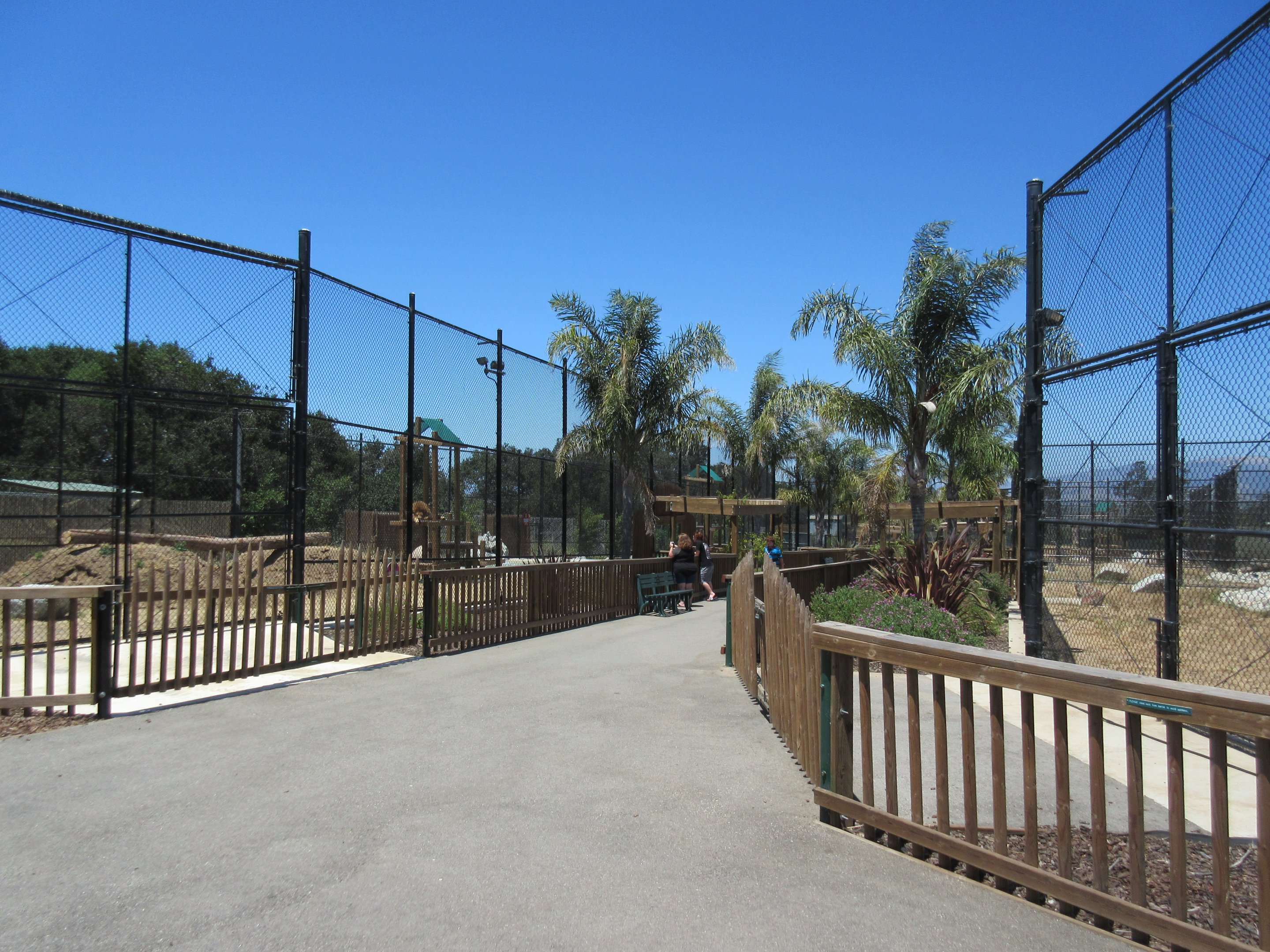 African Lion + Tiger Exhibits (New in 2015 + 2016)