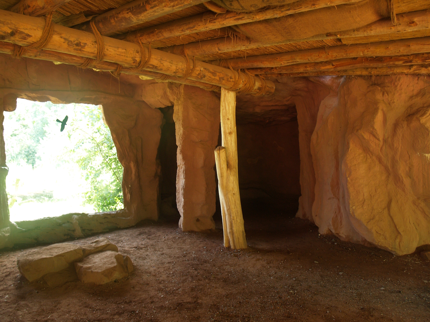 African lion viewing area, 2007-07-15