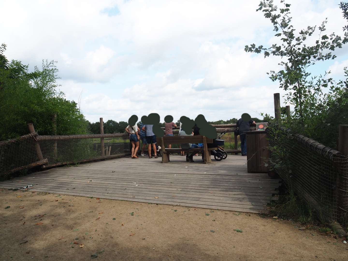 African lion viewing area, 2019-08-11