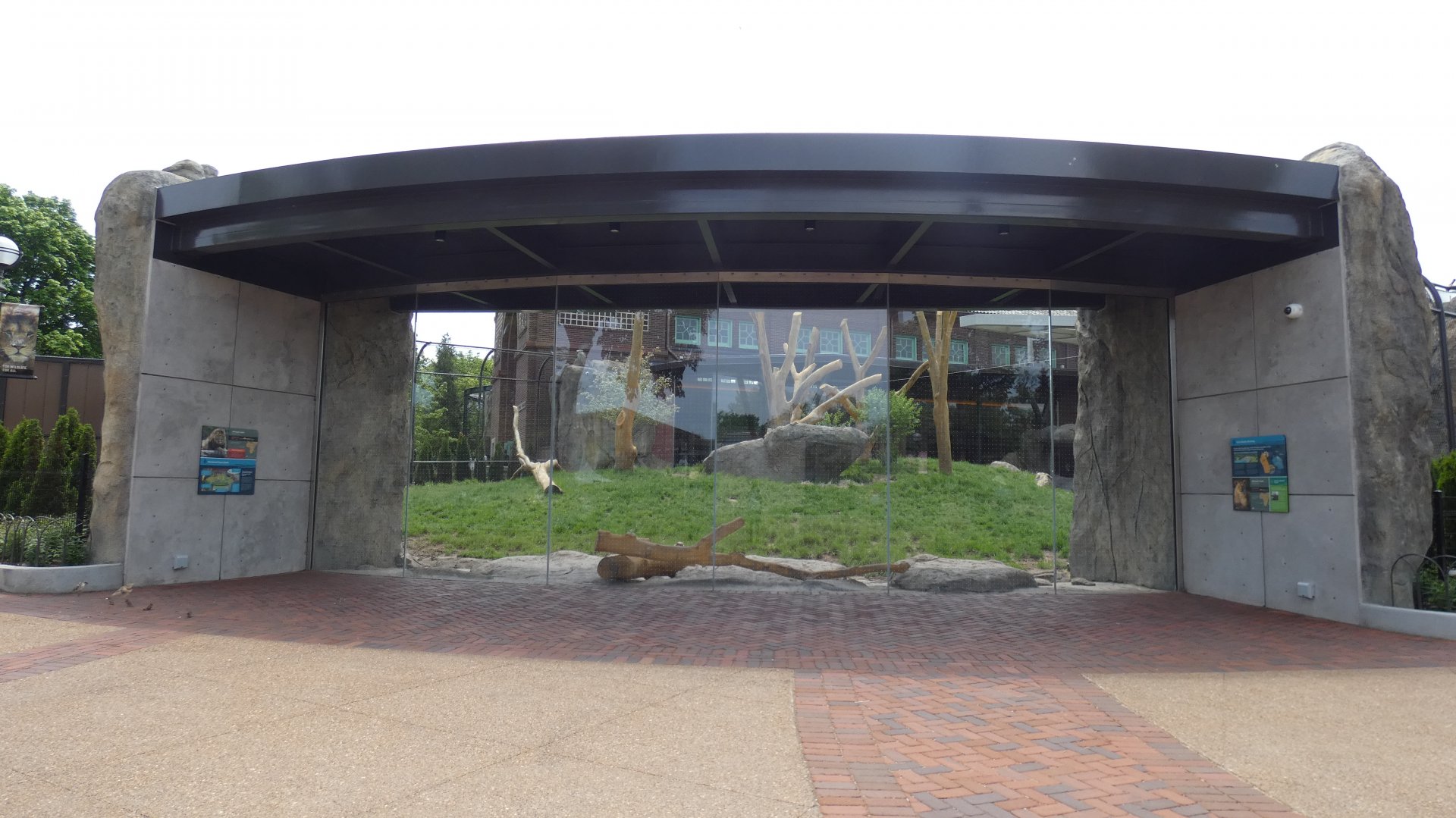 African Lion Viewing Area, Pepper Family Wildlife Center - May 2022