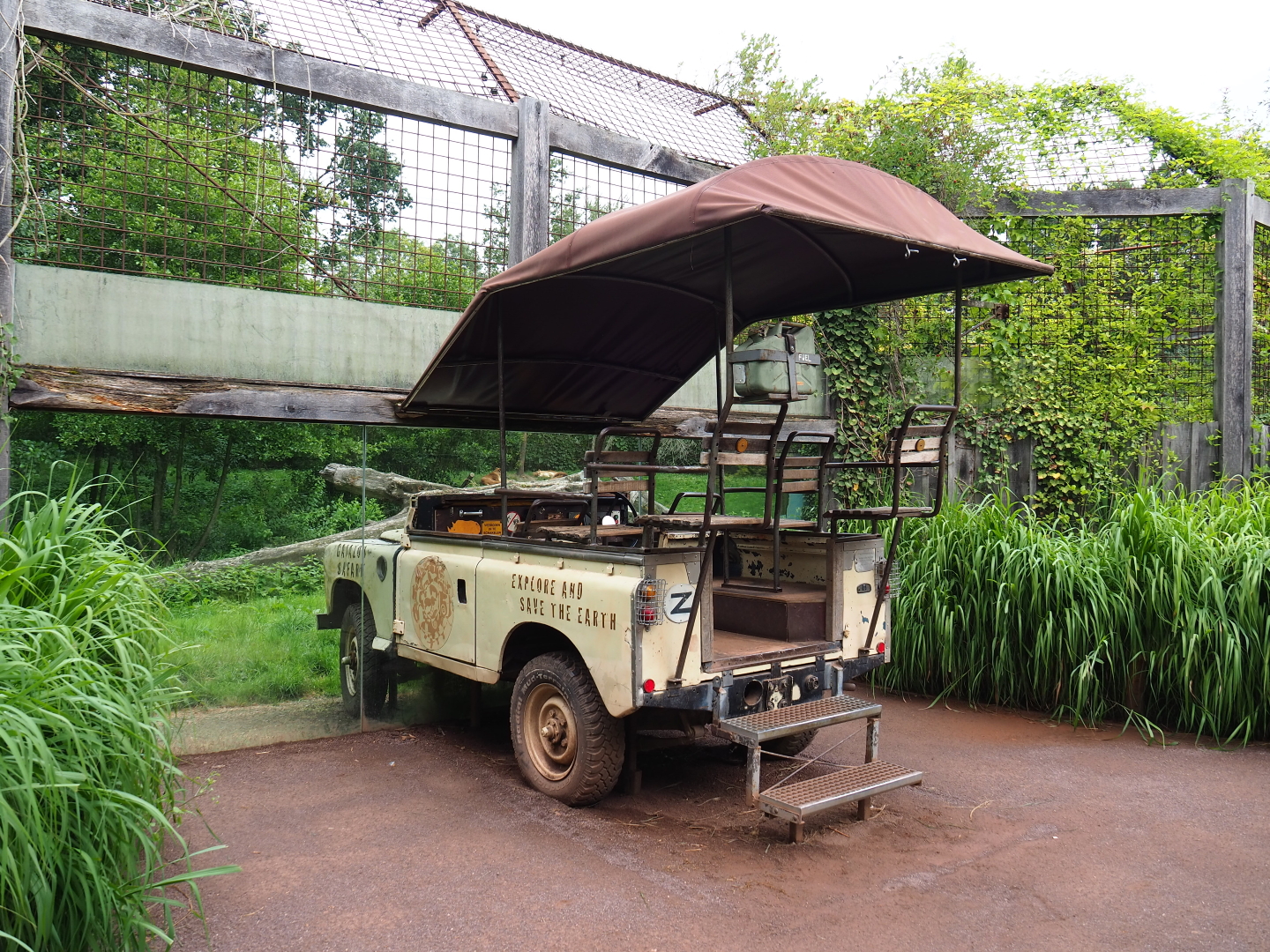 African lion viewing area with safari vehicle, 2019-07-21