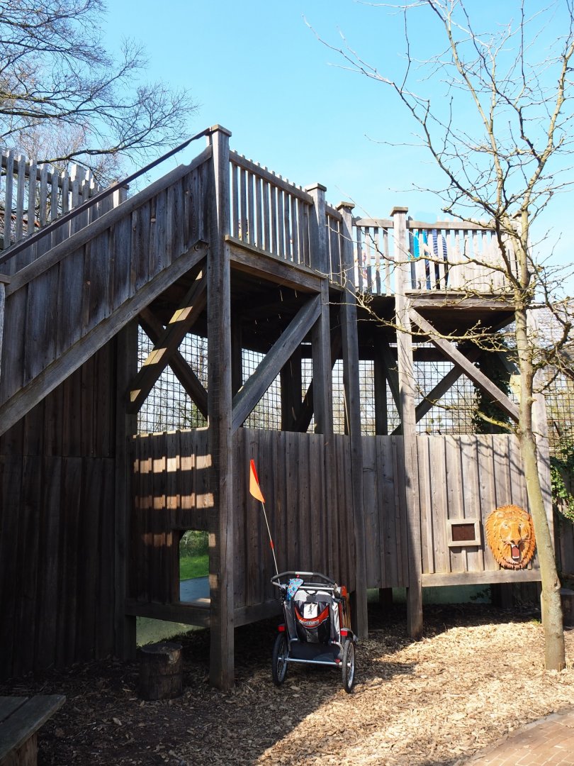 African lion viewing areas, 2019-03-30