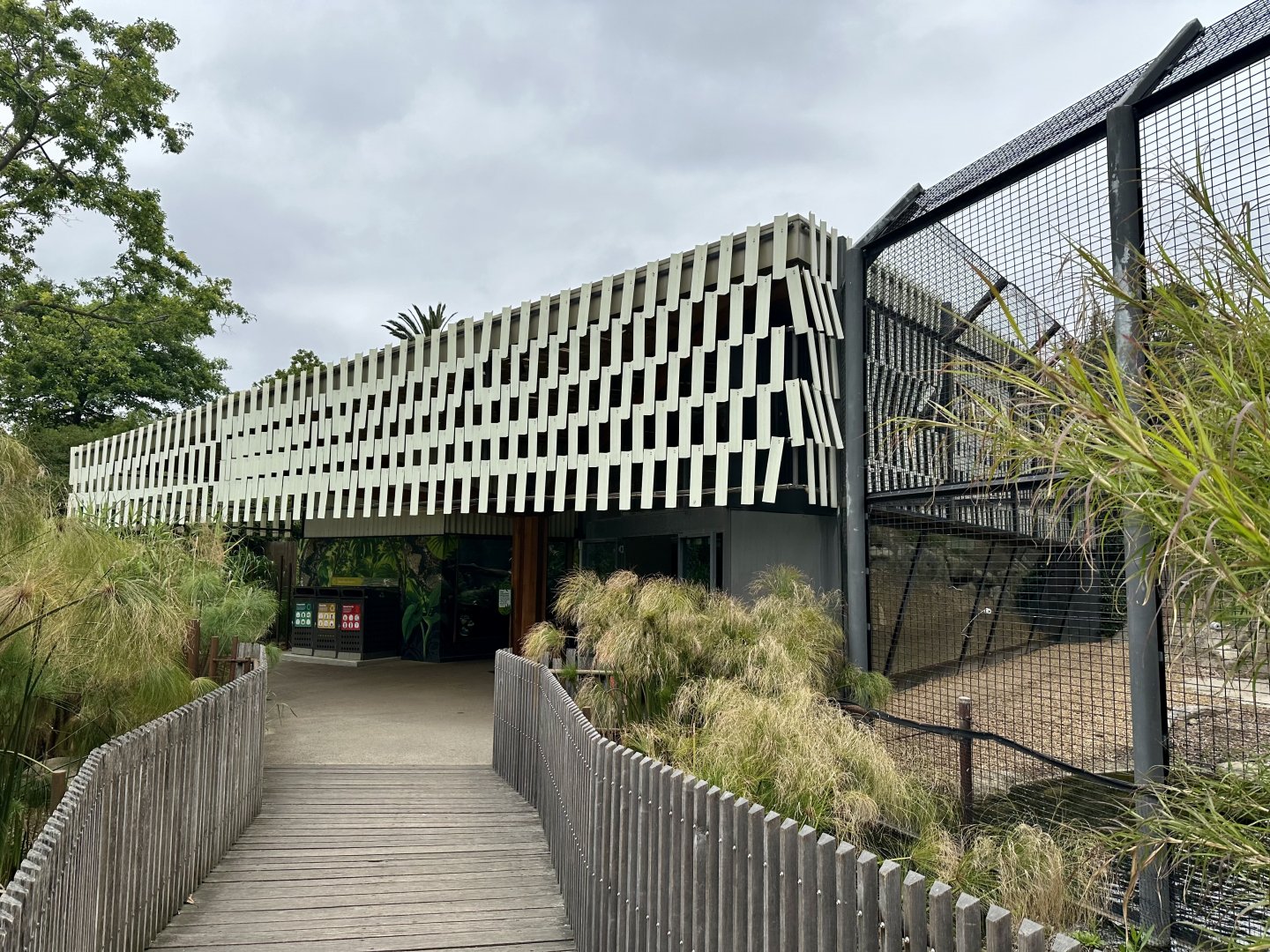 African Lion Viewing House