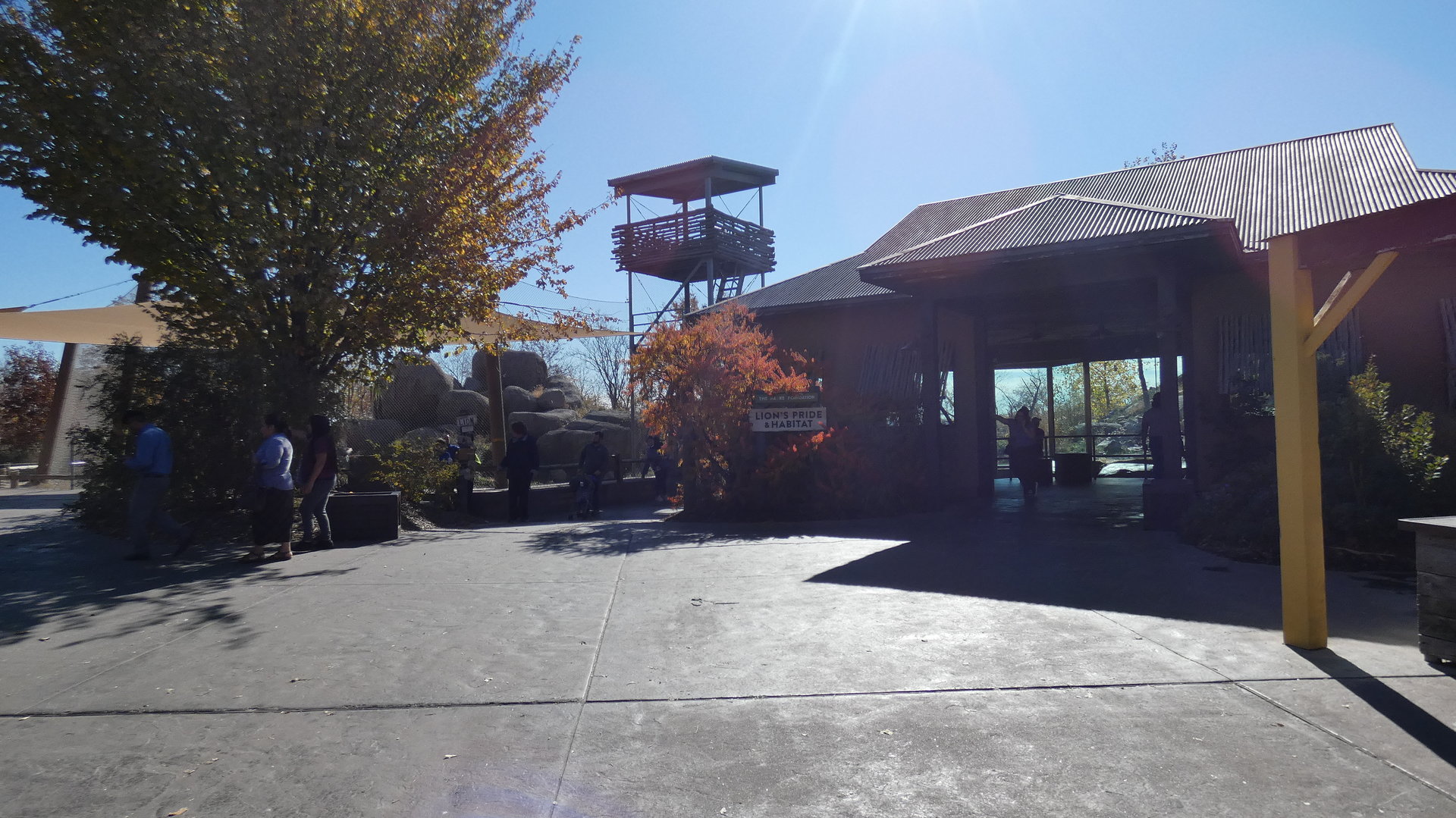 African Lion Viewing Shelter, The African Grasslands - Oct. 2022