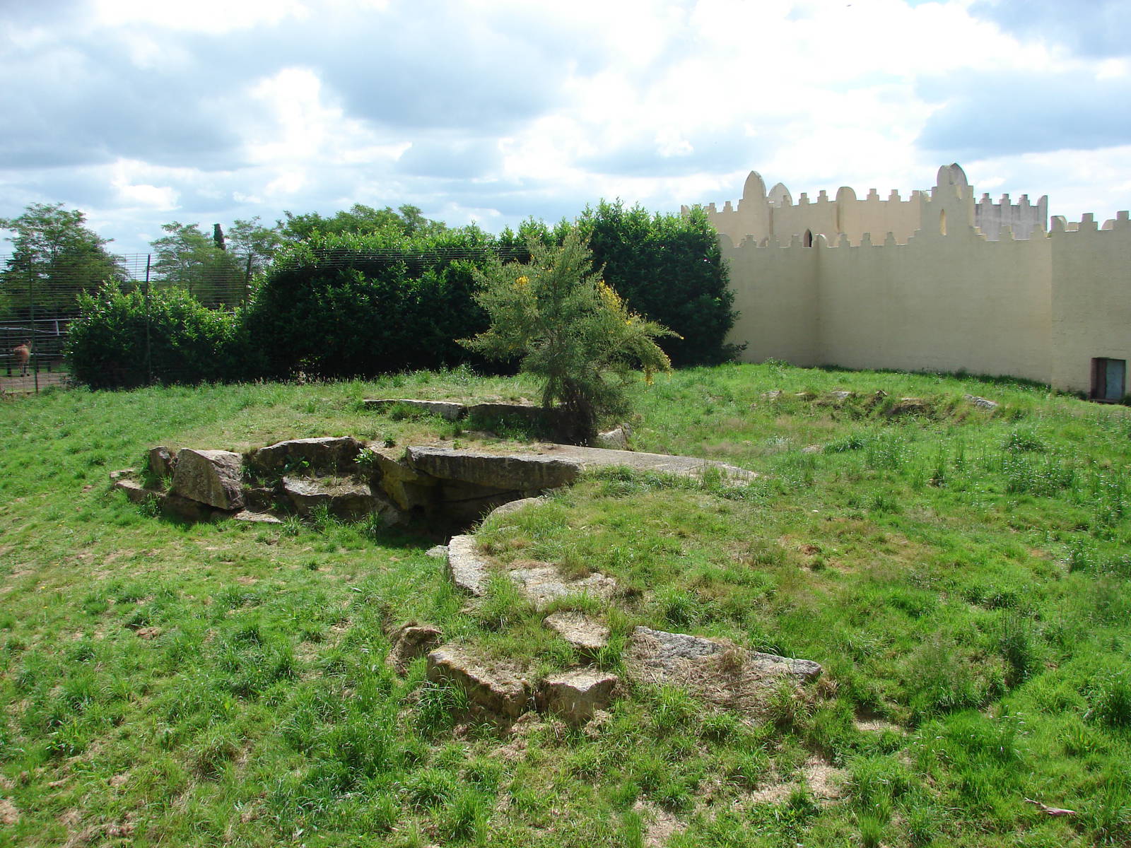 African lions exhibit