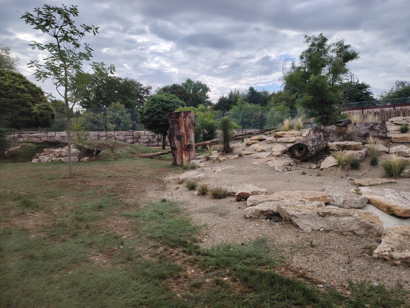African Lions Exhibit
