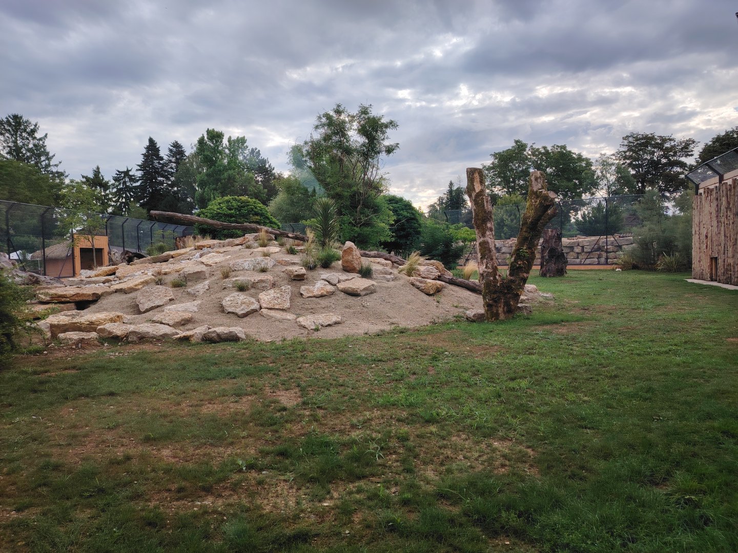 African Lions Exhibit